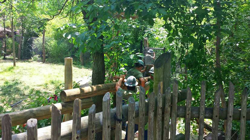 Jun. 2013 - Rhino Reserve - Okapi Exhibit Construction
