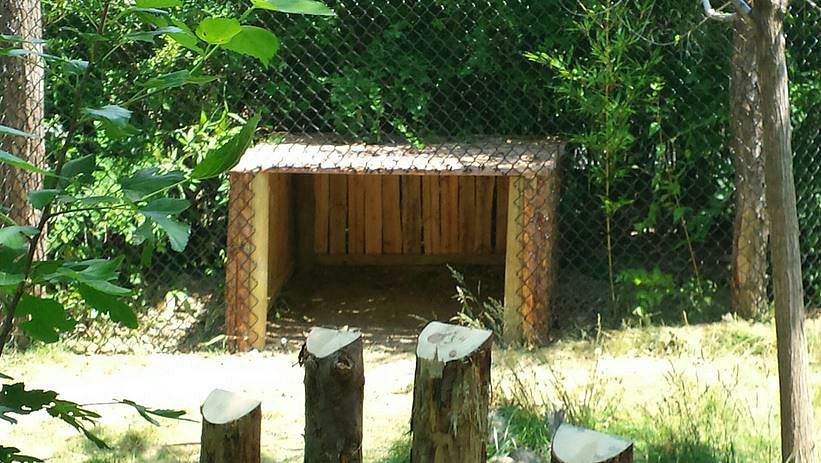 Jun. 2013 - Rhino Reserve - Okapi Exhibit - New Hut