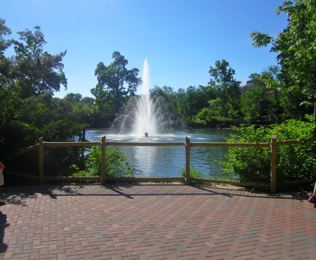 Jun. 2013 - Viewing of Swan Lake