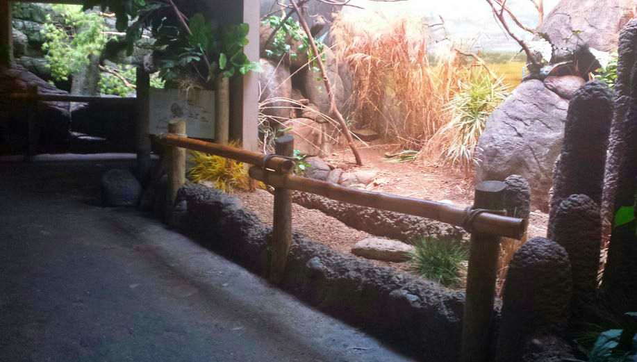 Jun. 2013 - Wings of the World - Grasslands Viewing