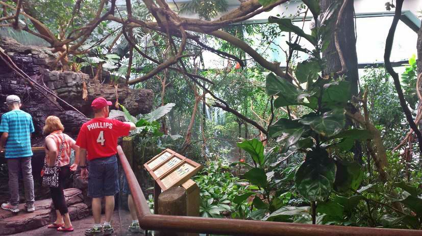 Jun. 2013 - Wings of the World - South America