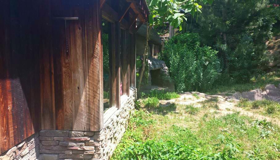 Jun. 2013 - Wolf Woods - Mexican Wolf Cabin Viewing