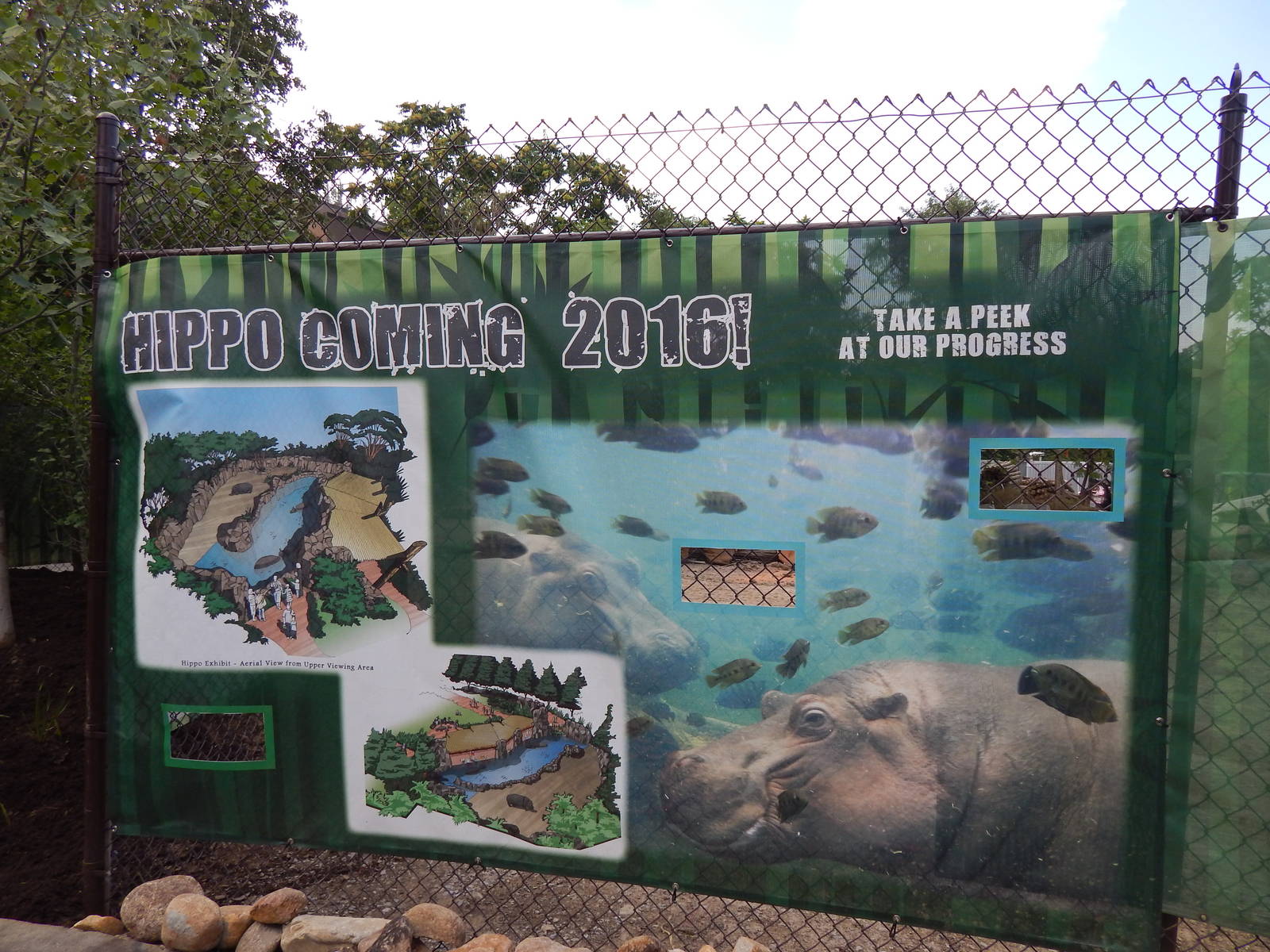 Jun. 2014 - Africa - Hippos Coming 2016! (Phase V)
