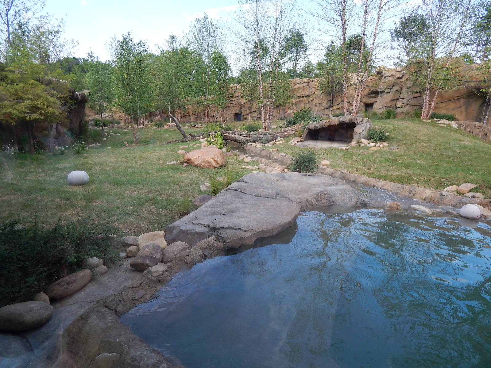 Jun. 2014 - Africa - Phase IV (New 2014!) - Painted Dog Valley