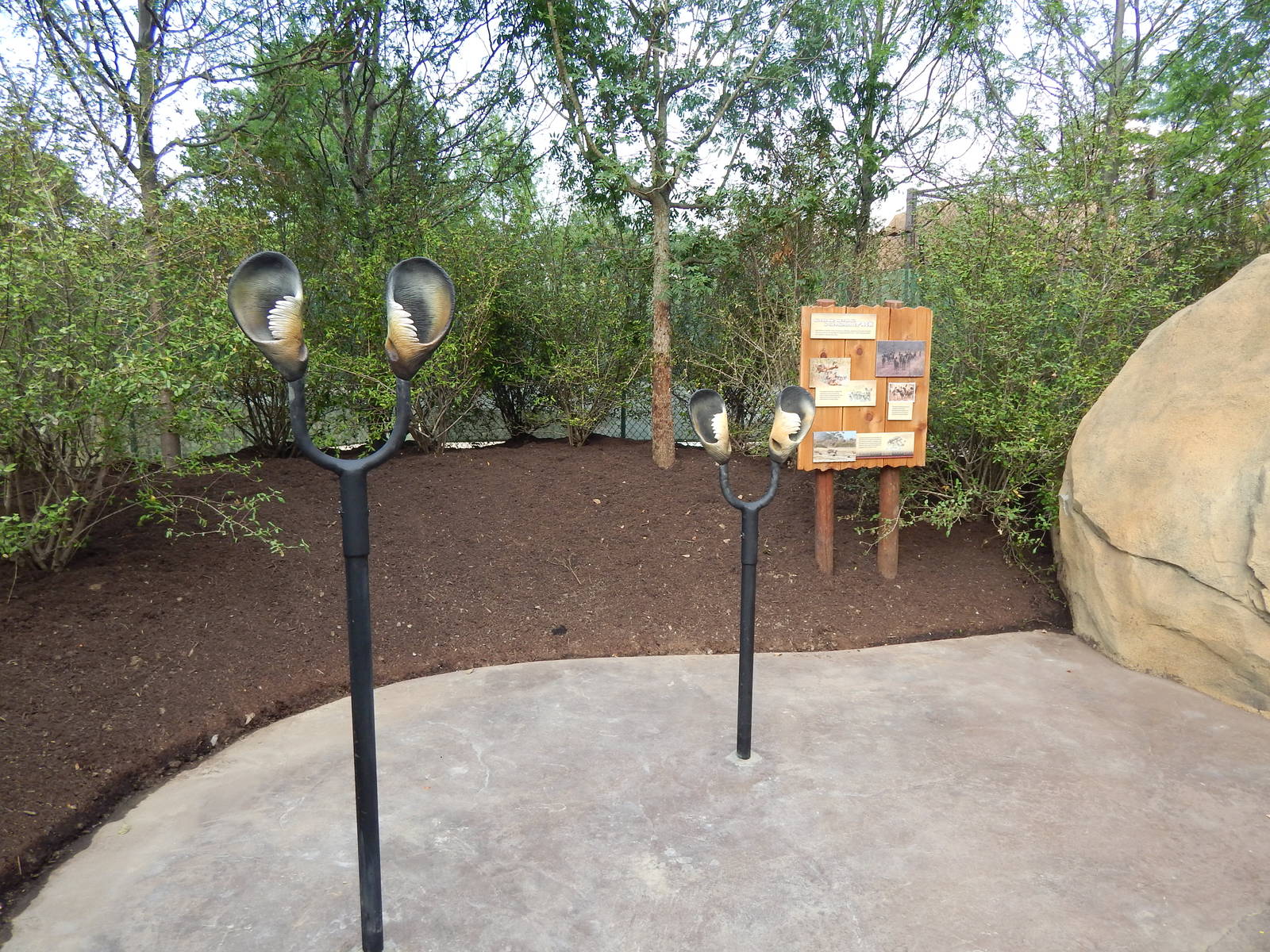 Jun. 2014 - Africa - Phase IV (New 2014!) - Painted Dog Valley