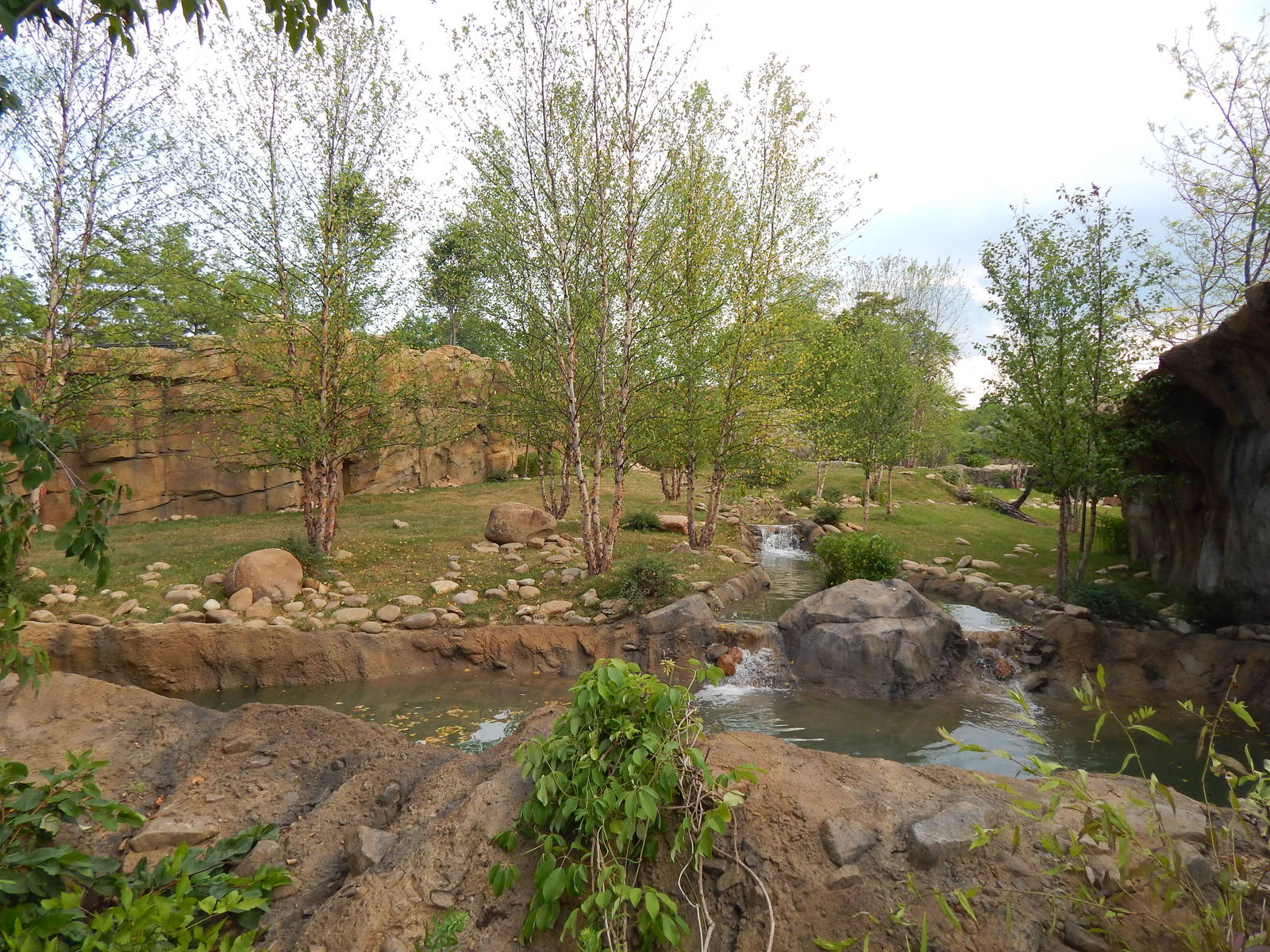 Jun. 2014 - Africa - Phase IV (New 2014!) - Painted Dog Valley