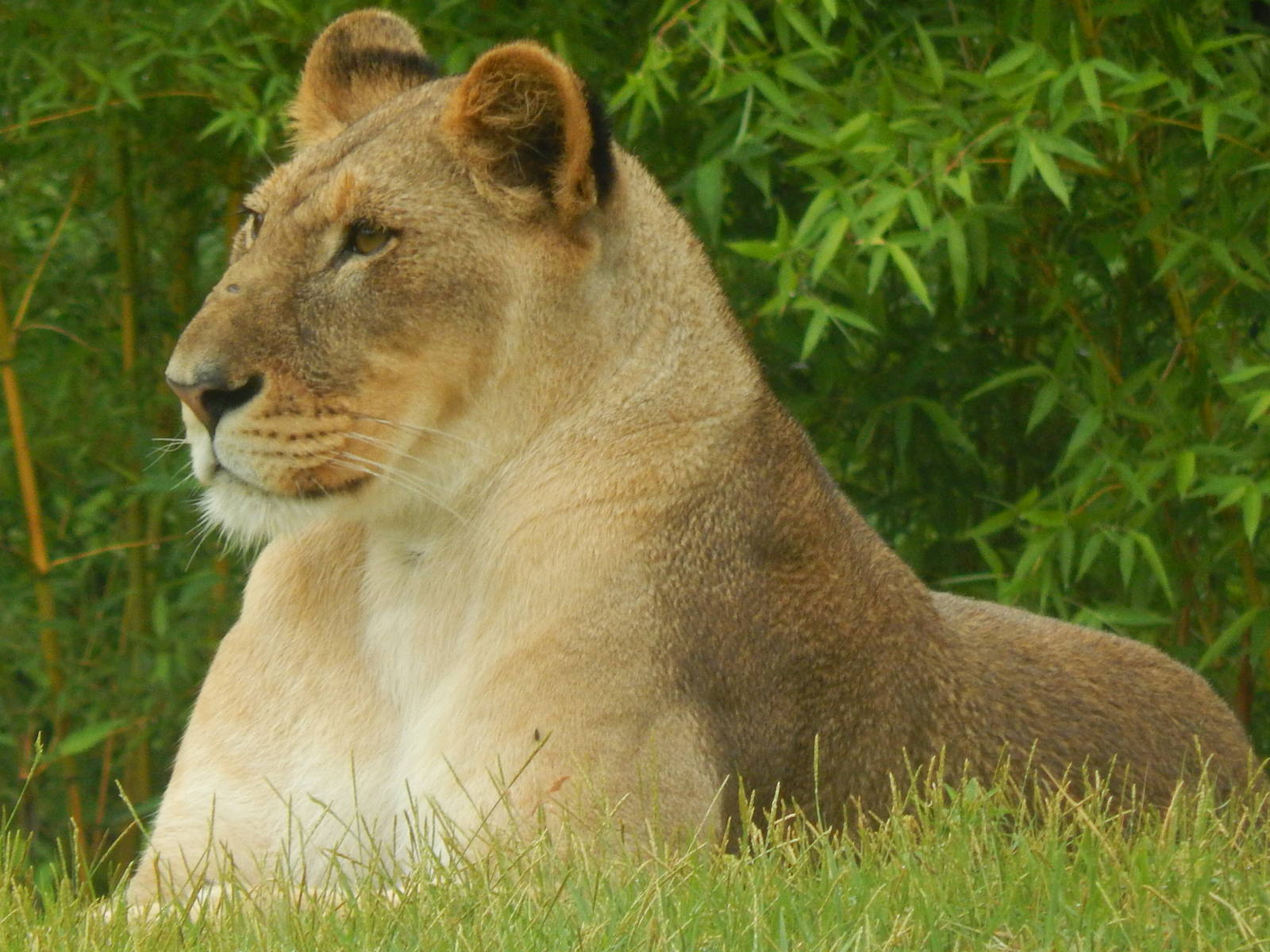 Jun. 2014 - Africa - The Gallery's First Photo of Imani