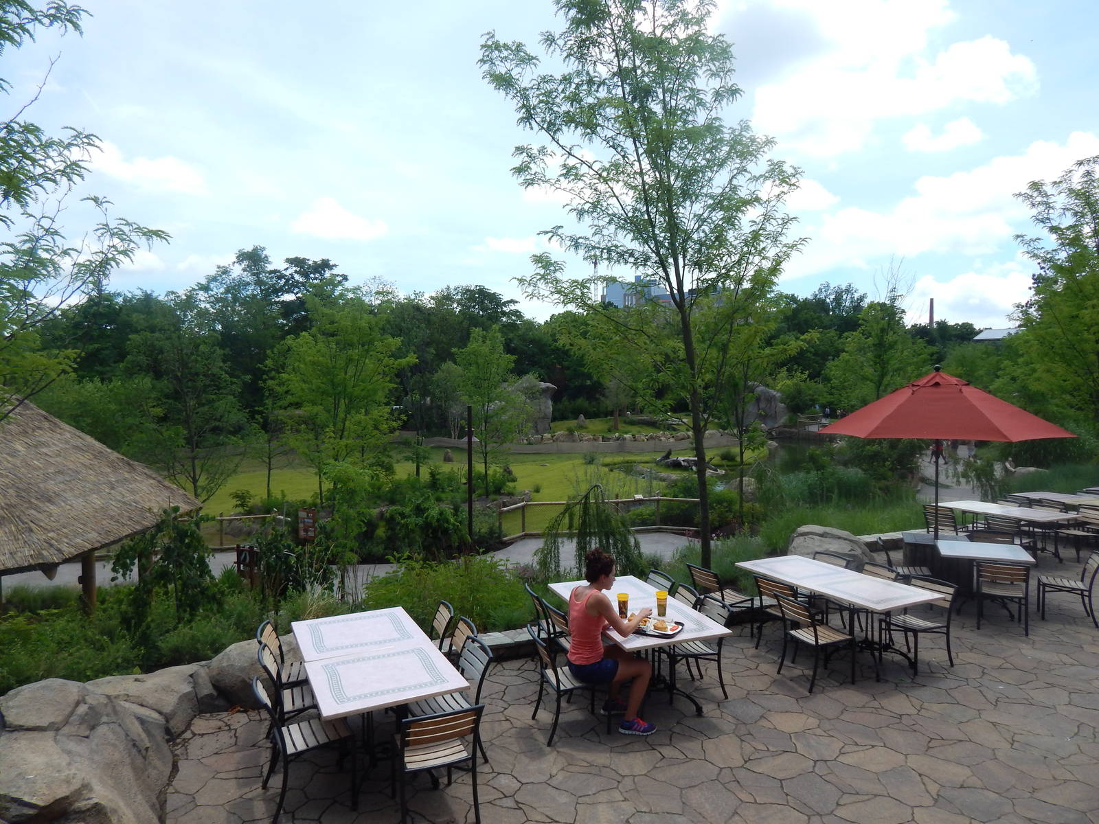 Jun. 2014 - Africa - The Savannah Overlook
