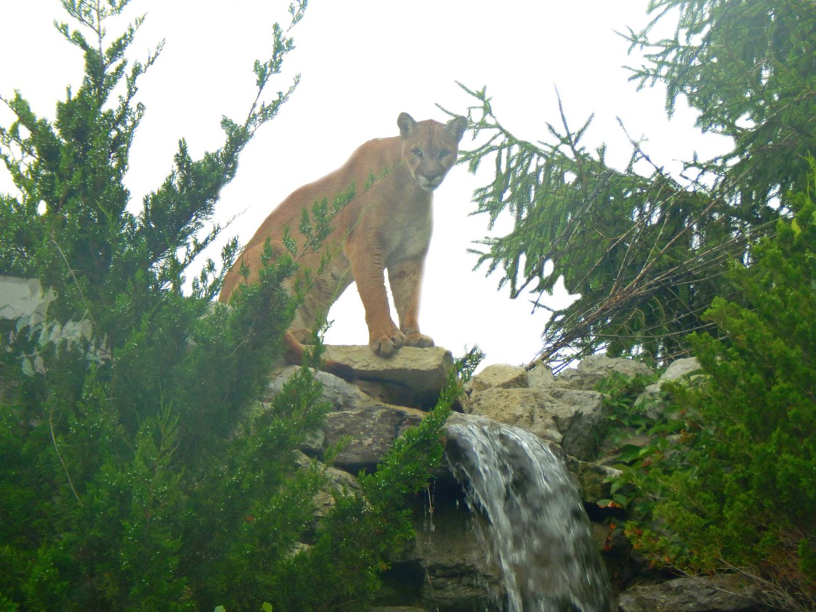 Jun. 2014 - Cat Canyon - Joseph