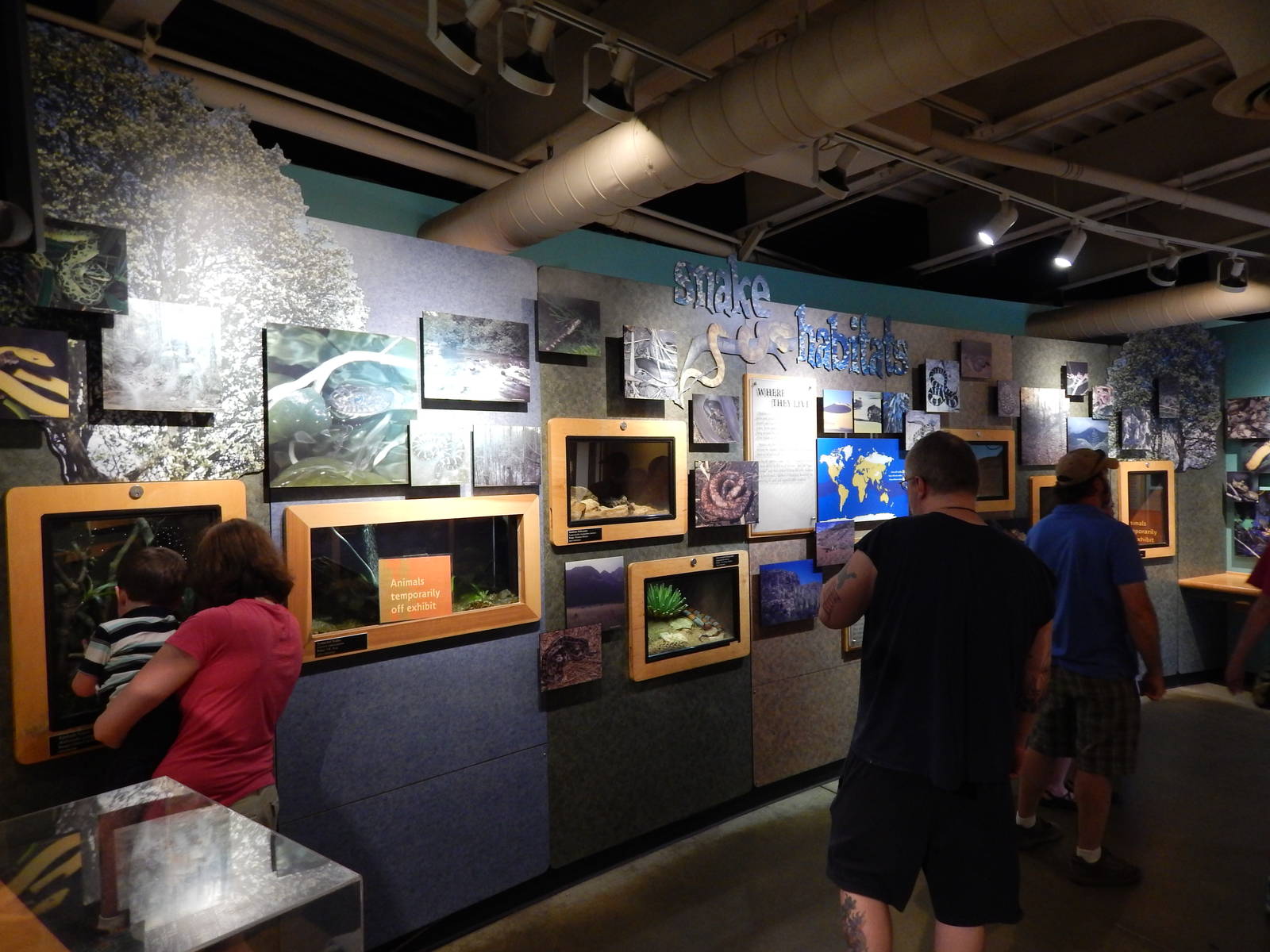 Jun. 2014 - Deserts - Drop Dead Gorgeous Snakes Gallery