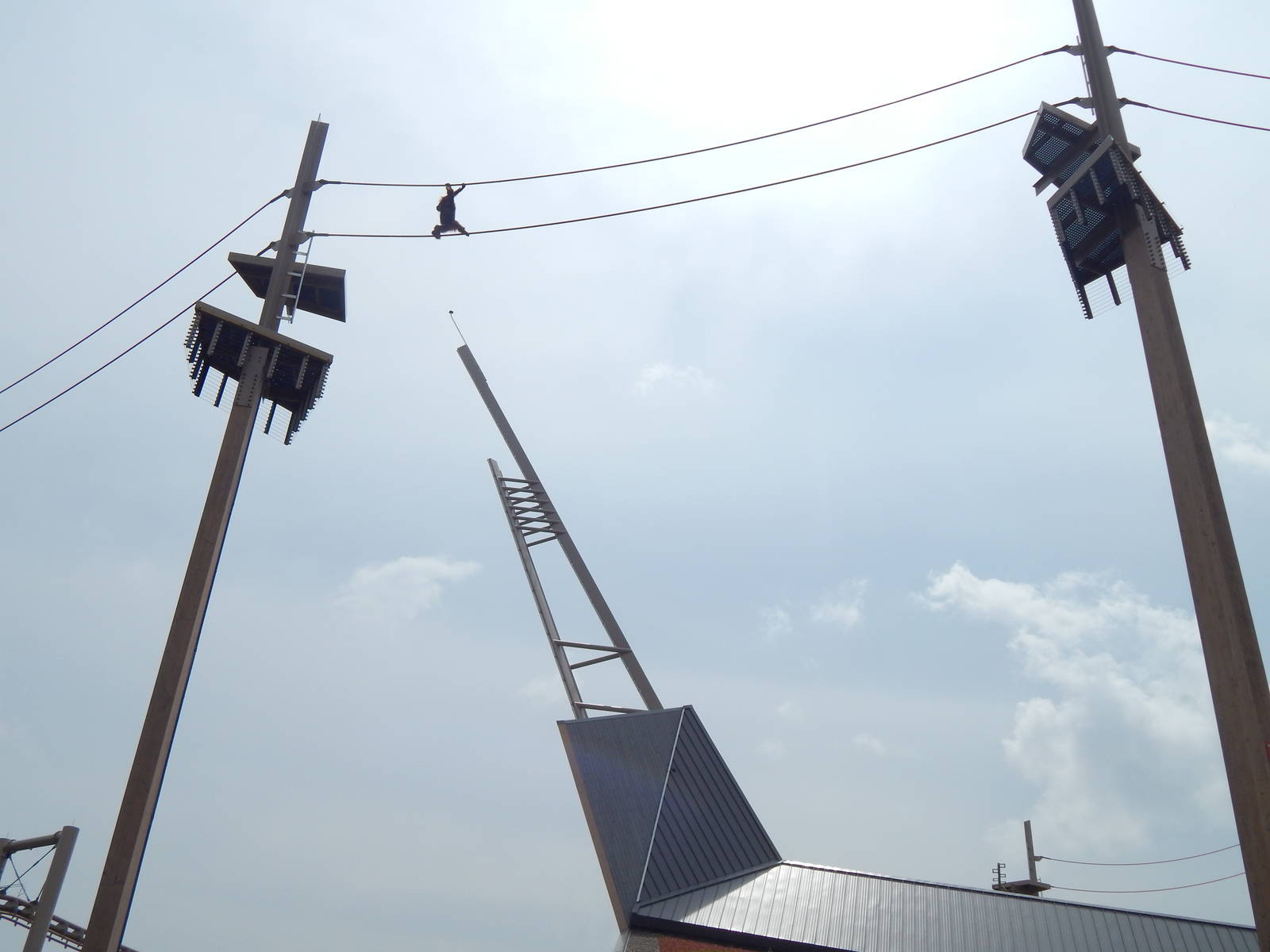 Jun. 2014 - International Orangutan Center - Rocky 80 ft. in the Air