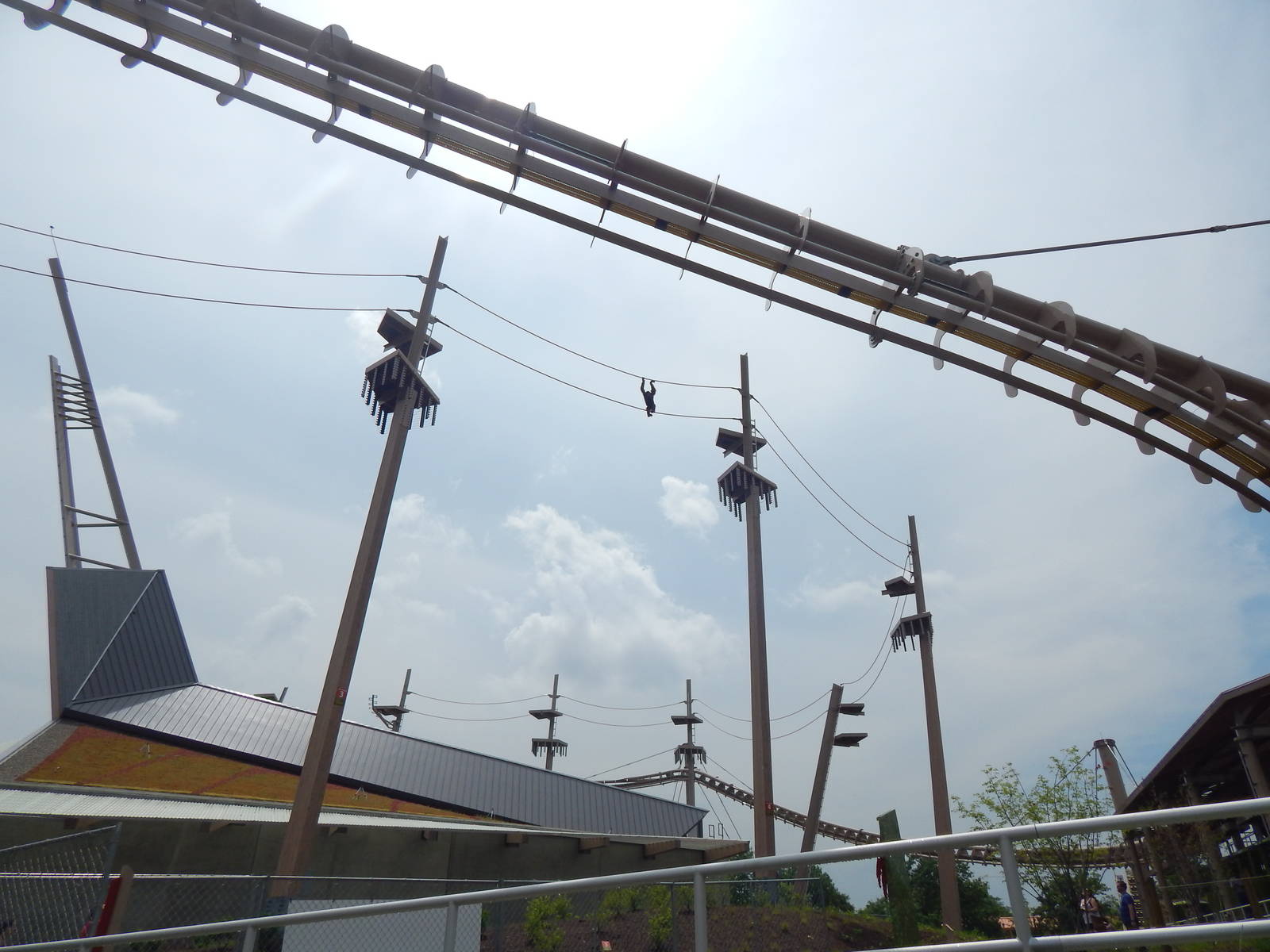 Jun. 2014 - International Orangutan Center - Rocky Enjoying the View