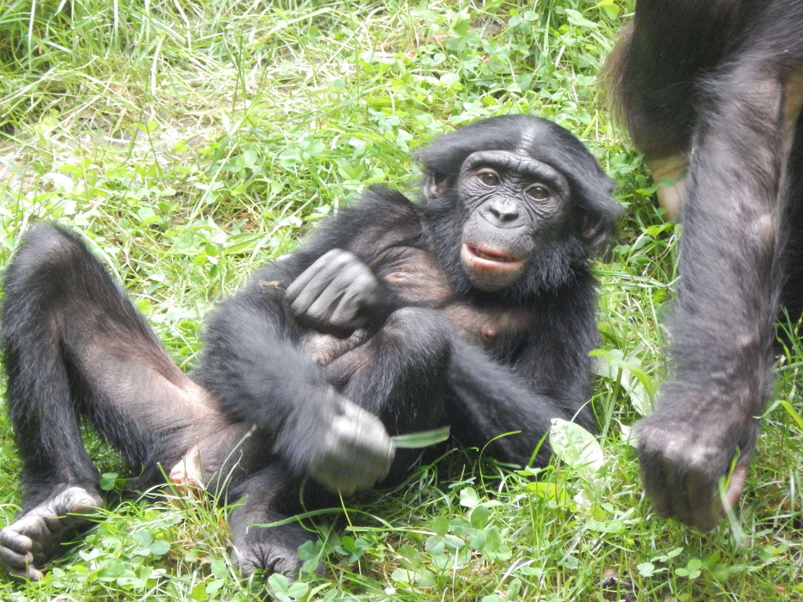 Jun. 2014 - Jungle Trails - Zeke