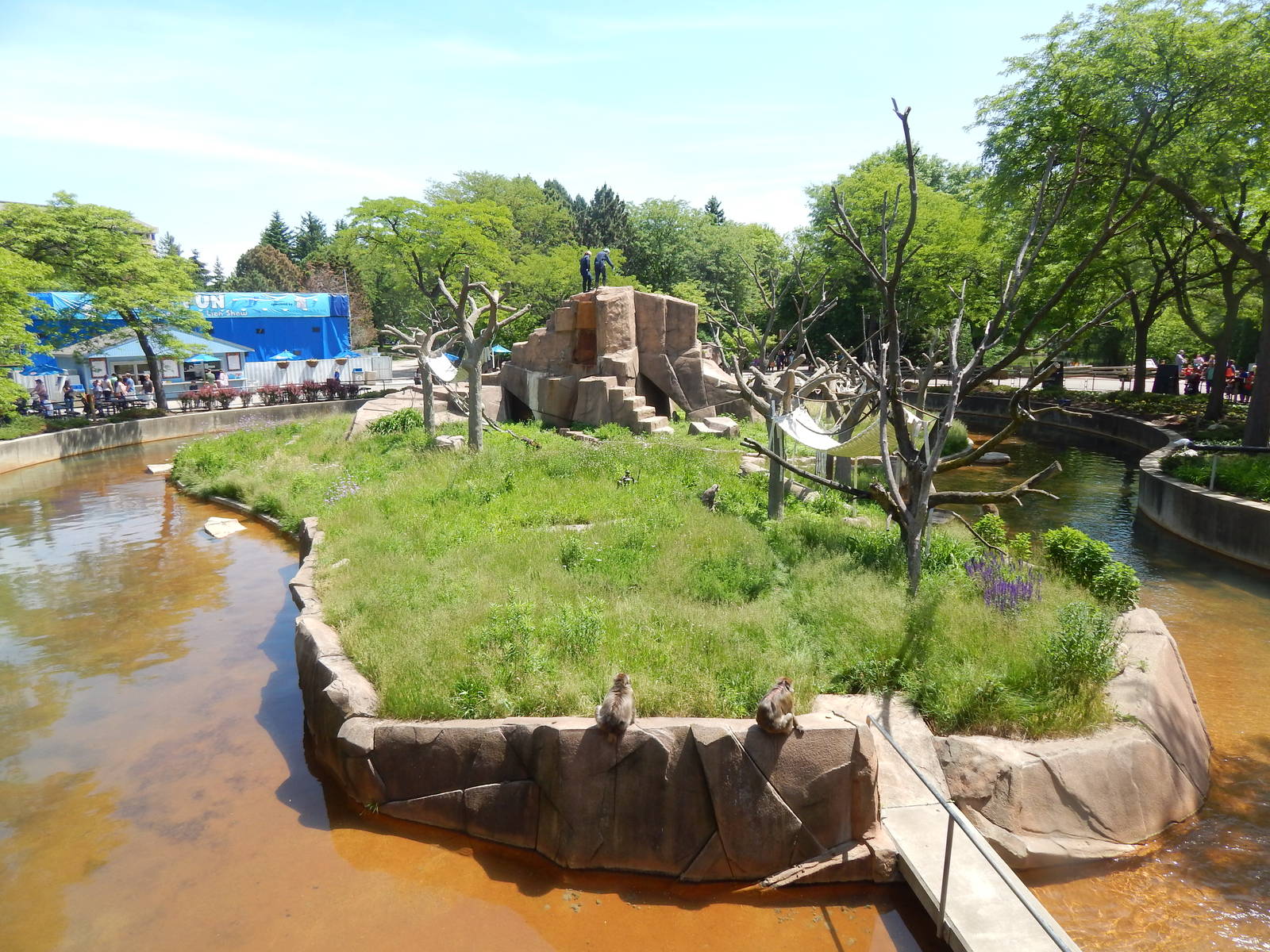 Jun. 2014 - Macaque Island