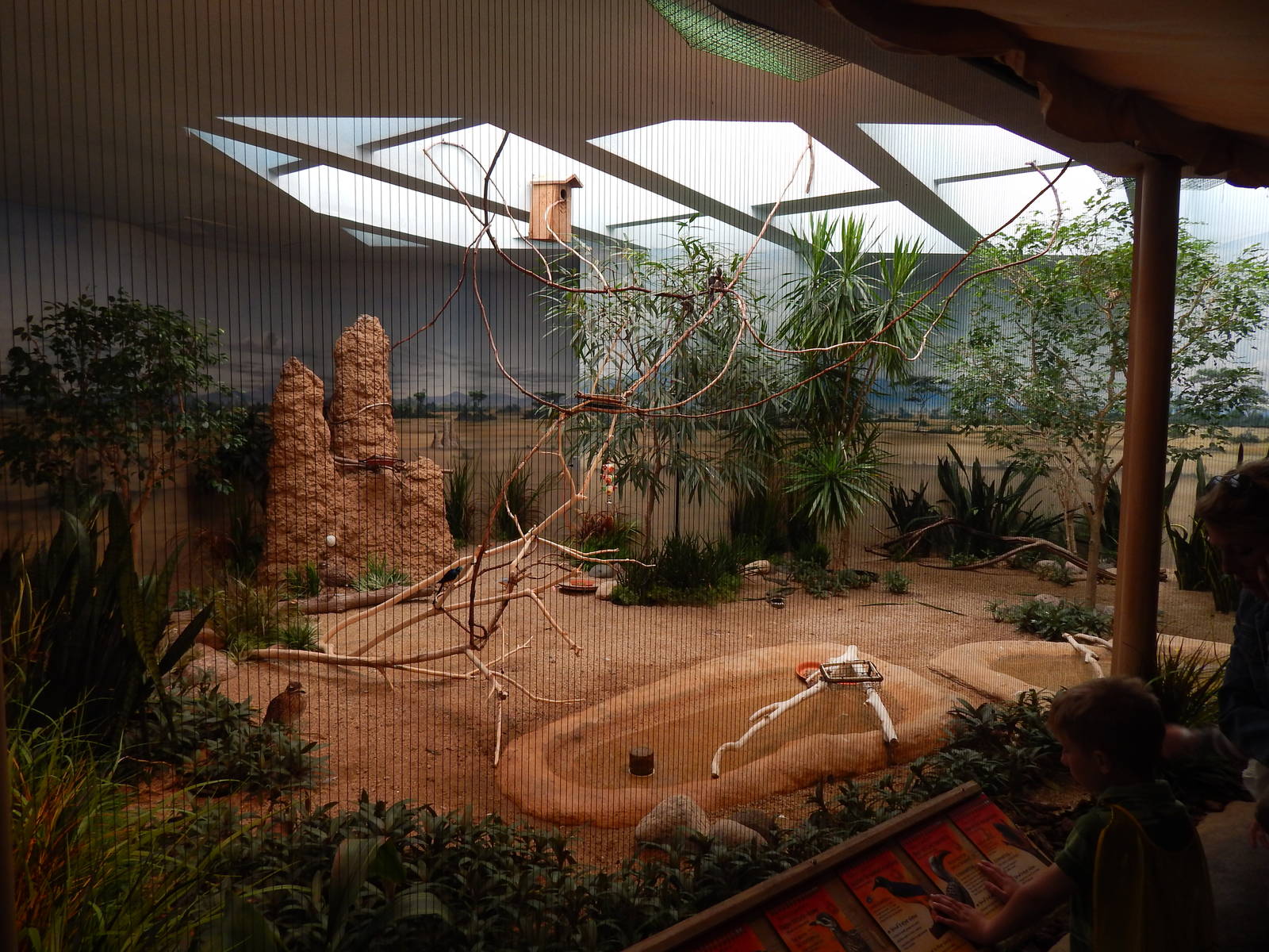 Jun. 2014 - Mahler Family Aviary - African Savanna Exhibit (5 Species)