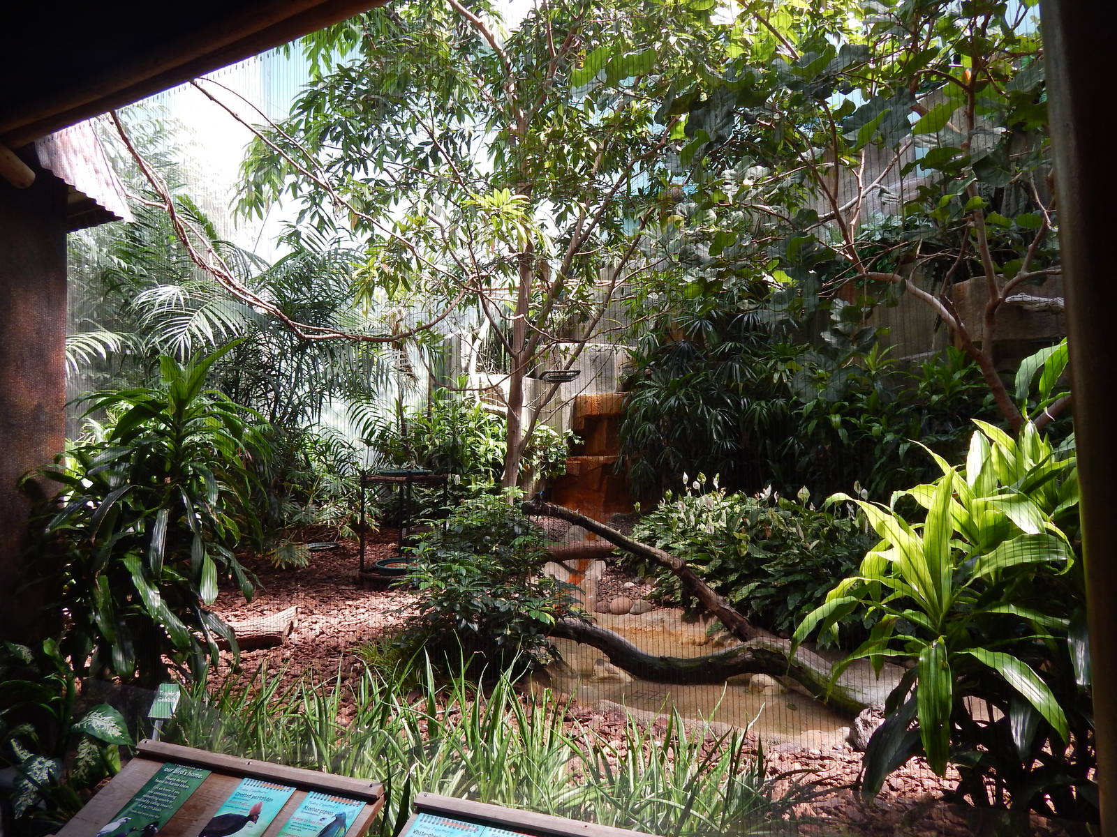 Jun. 2014 - Mahler Family Aviary - Rainforest Exhibit (5 Species)