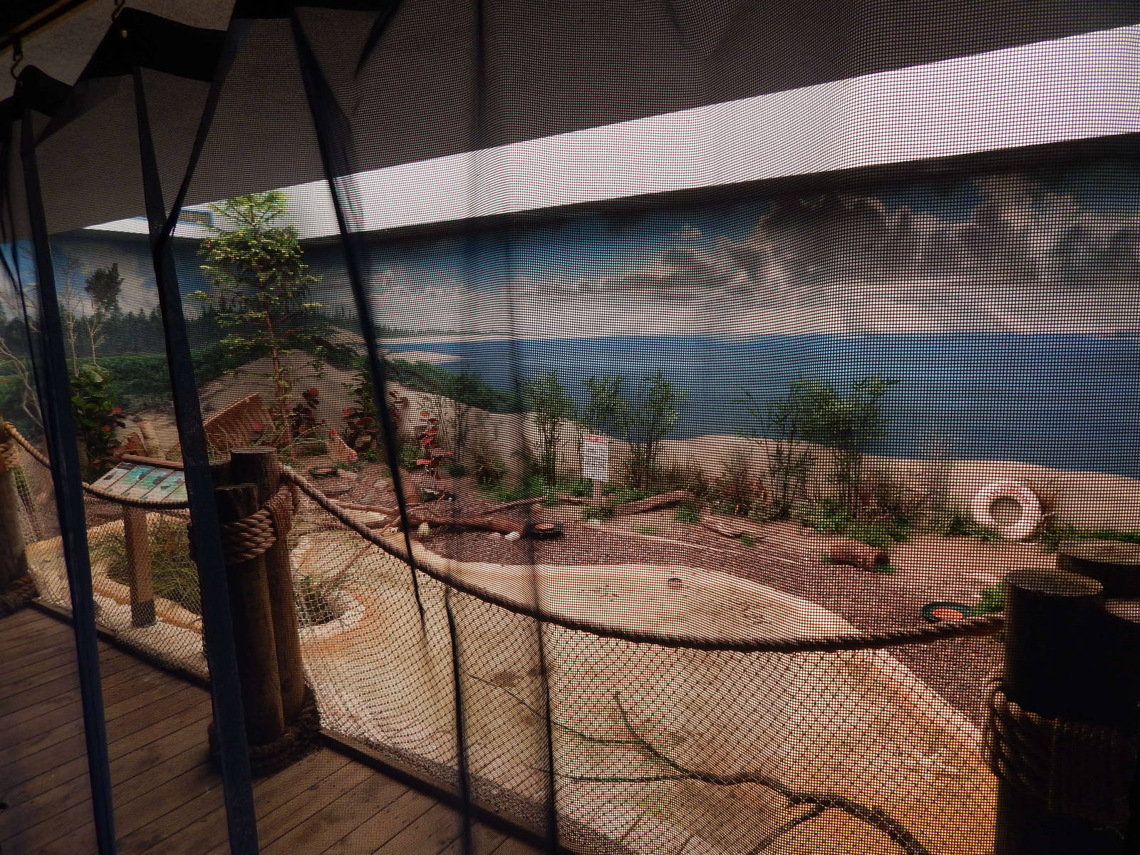 Jun. 2014 - Mahler Family Aviary - Shoreline Exhibit (4 Species)