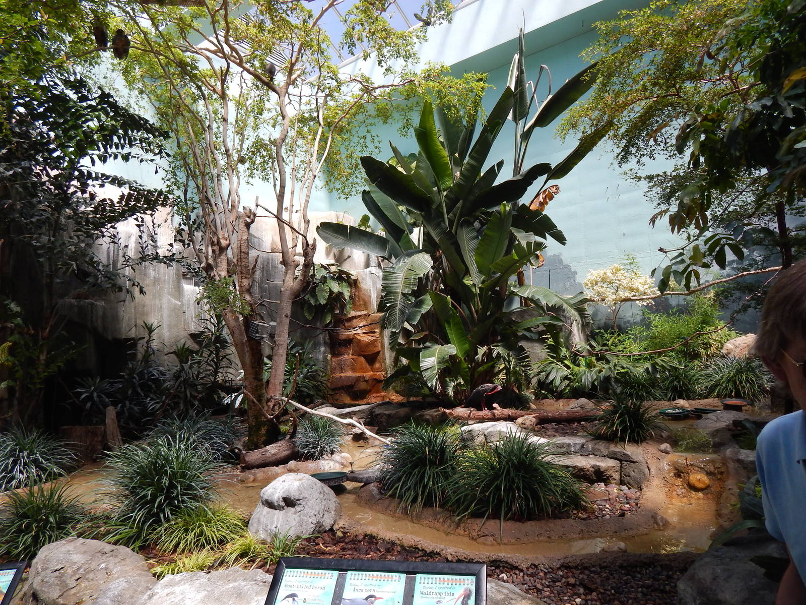 Jun. 2014 - Mahler Family Aviary - Walk-through Exhibit (14 Species)