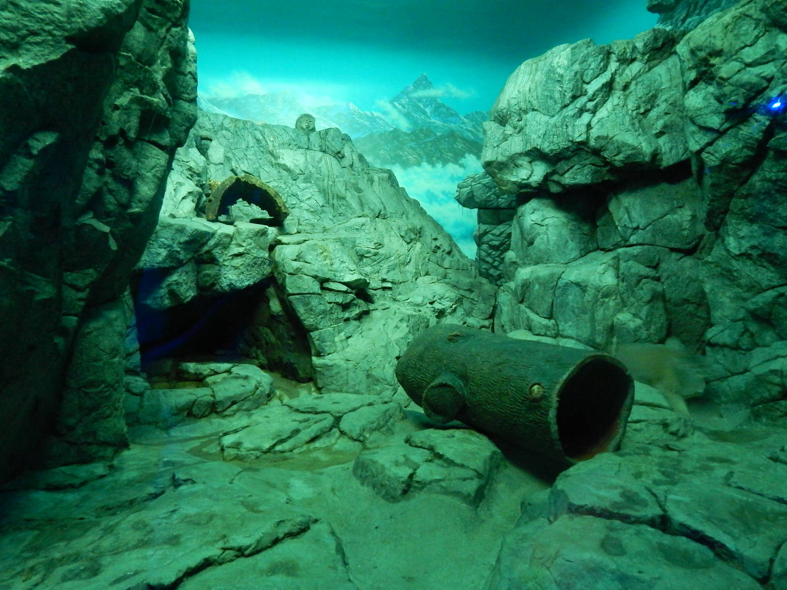 Jun. 2014 - Night Hunters - Pallas Cat Exhibit (Find Both)