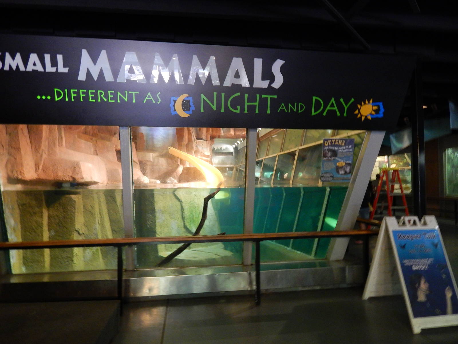 Jun. 2014 - Small Mammals - River Otter Exhibit