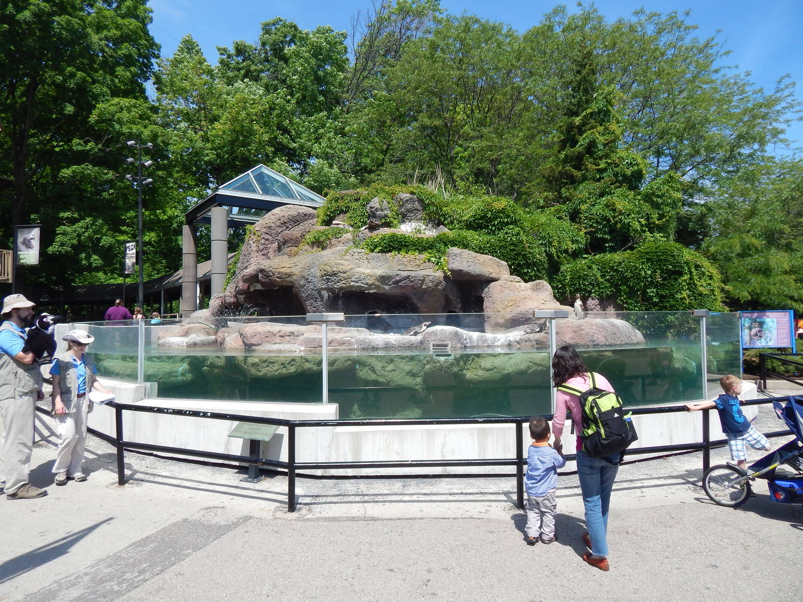 Jun. 2014 - Taylor Family Humboldt Penguin Exhibit