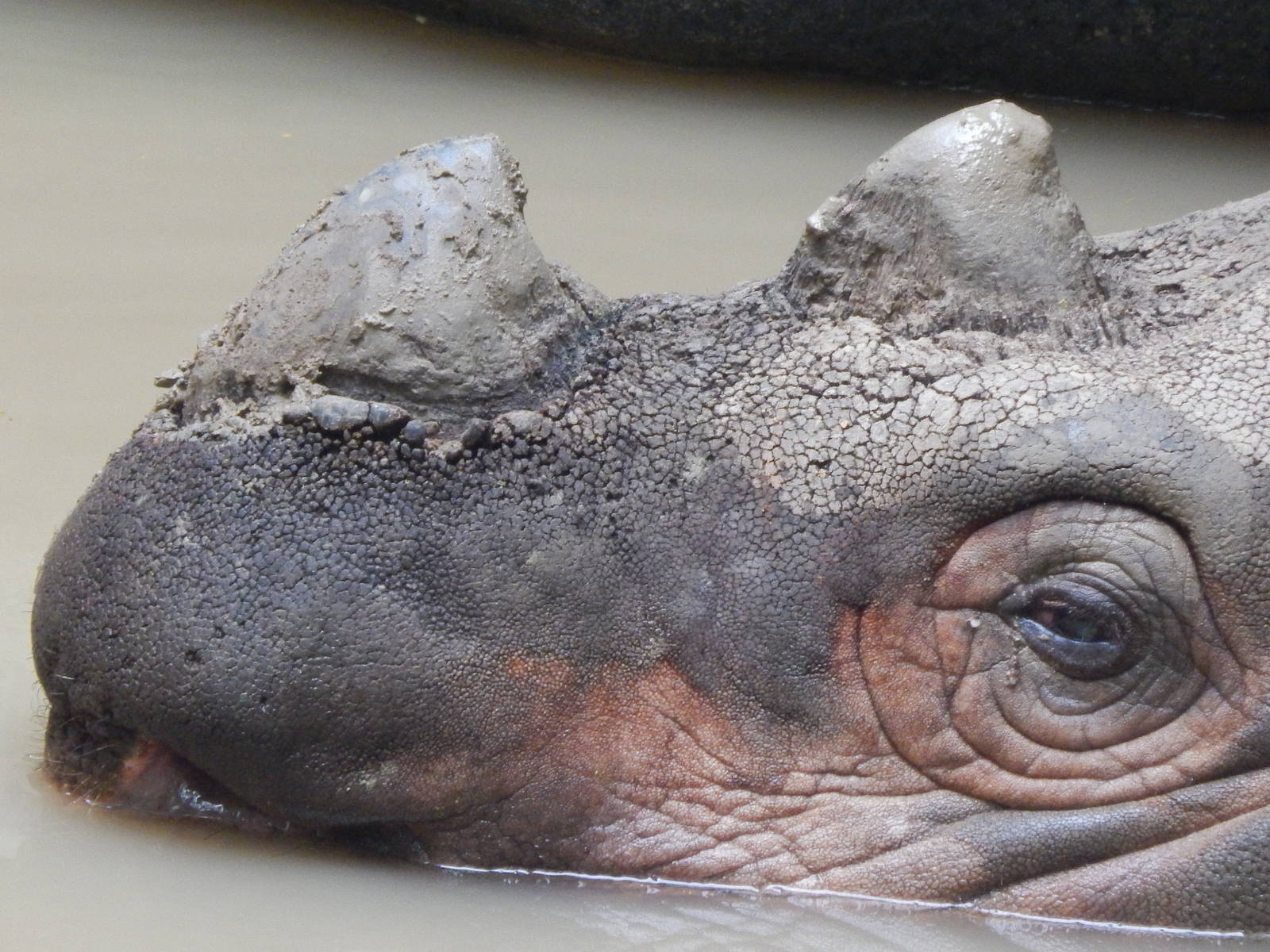 Jun. 2014 - Wildlife Canyon - Harapan