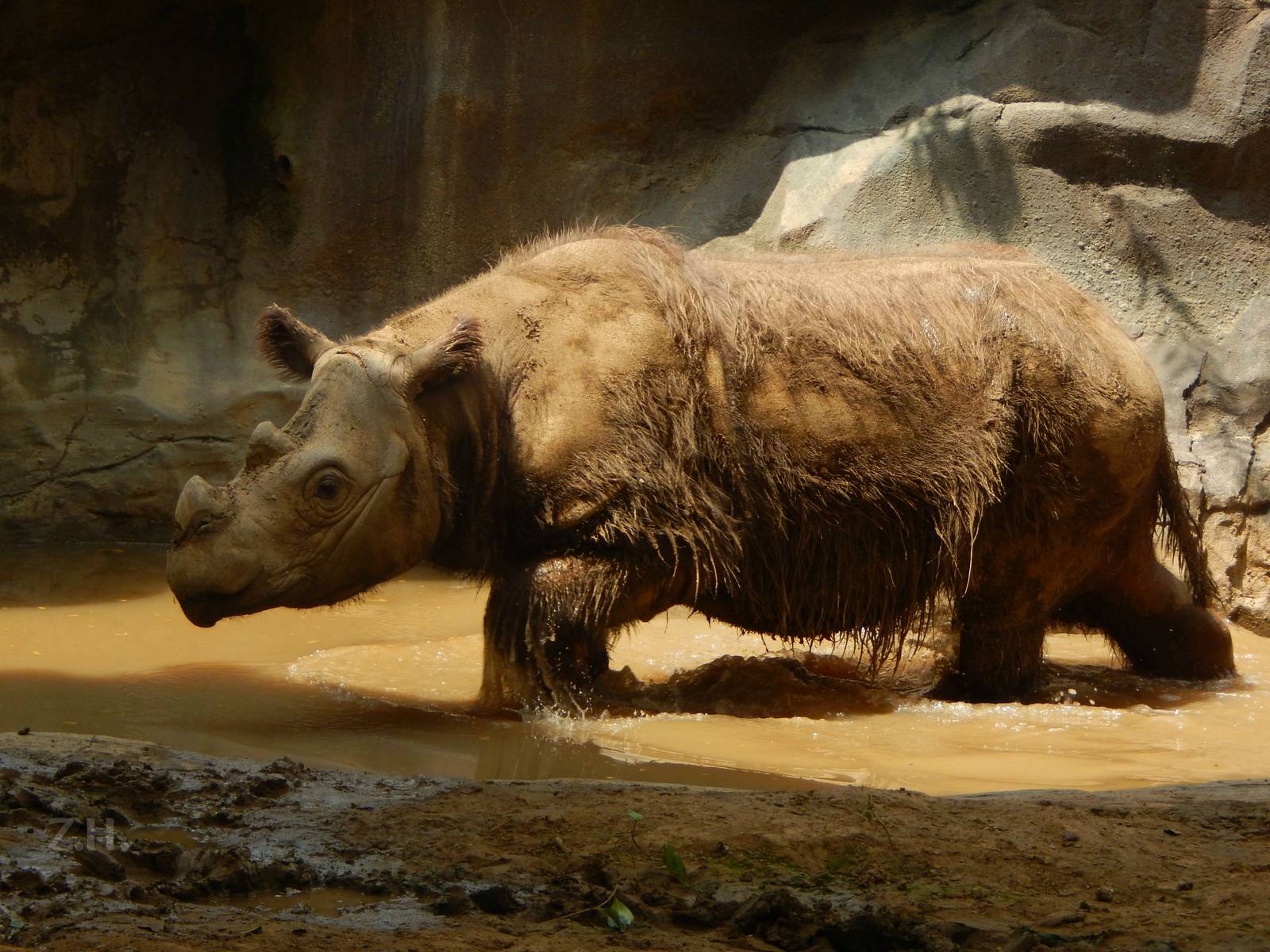 Jun. 2014 - Wildlife Canyon - Harapan