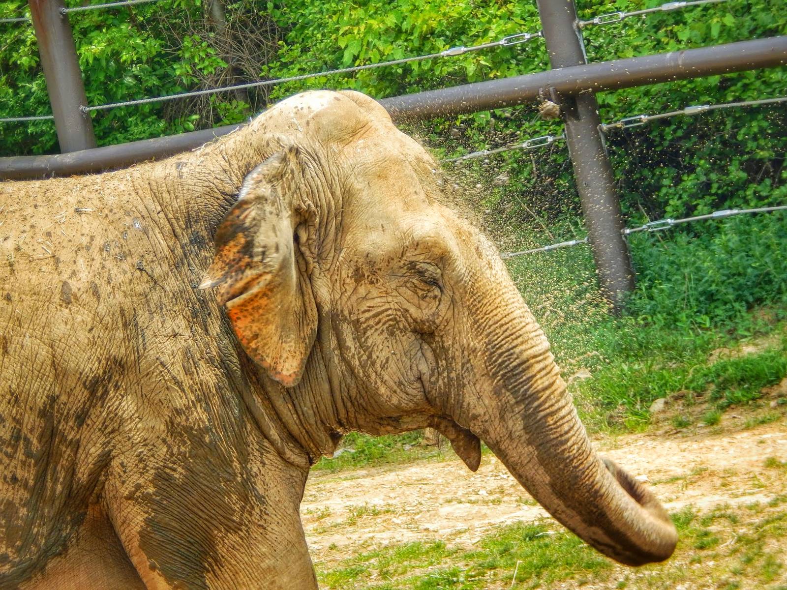 Jun. 2015 - Asian Passage - Connie