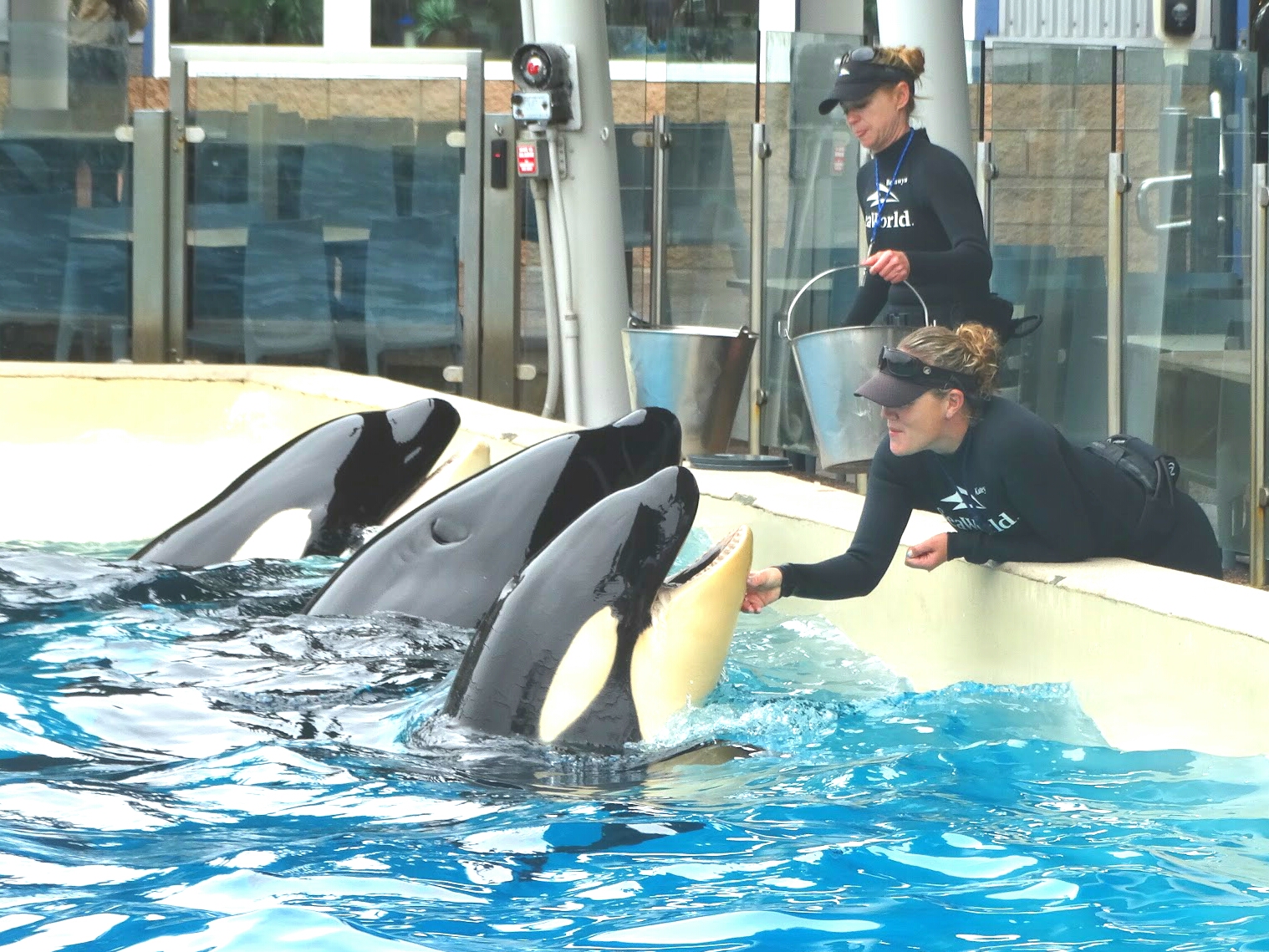 Jun. 2015 - Baby Amaya