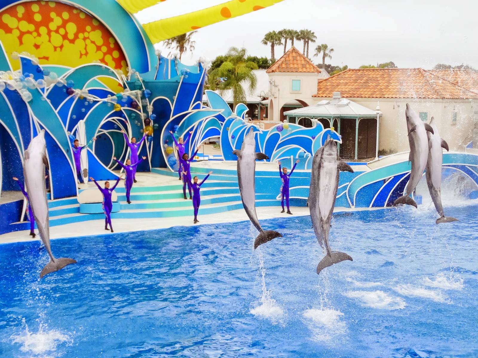 Jun. 2015 - Dolphin Days