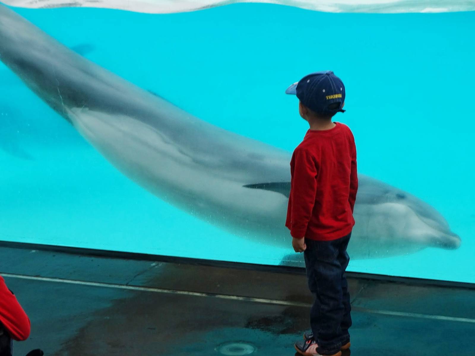 Jun. 2015 - Dolphin Point