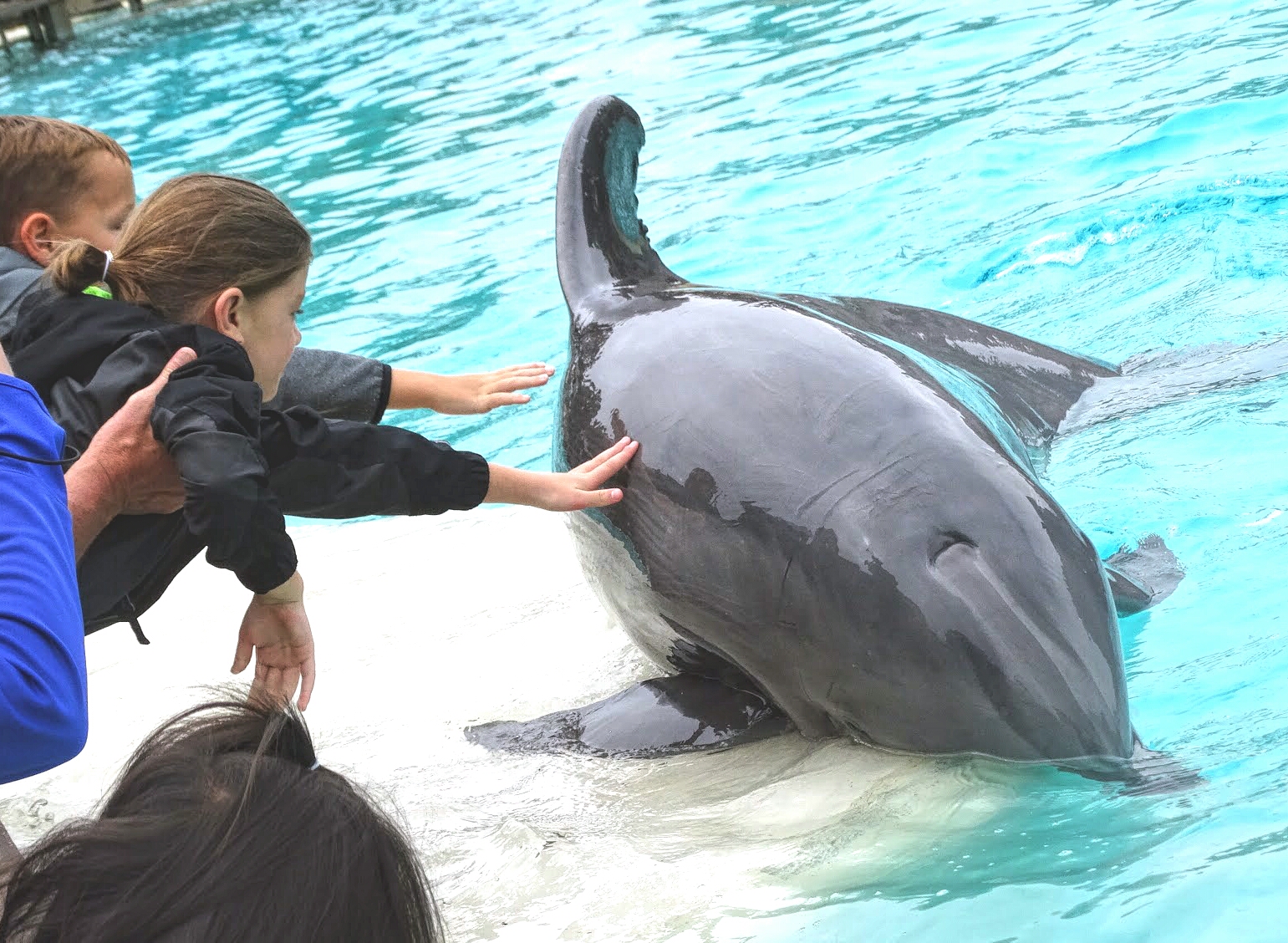 Jun. 2015 - Dolphin Point