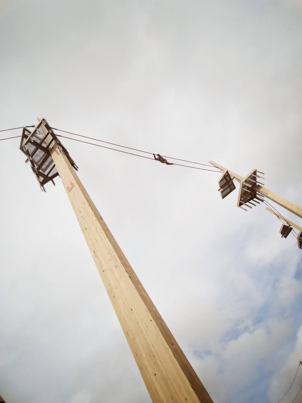 Jun. 2015 - International Orangutan Center - Rocky