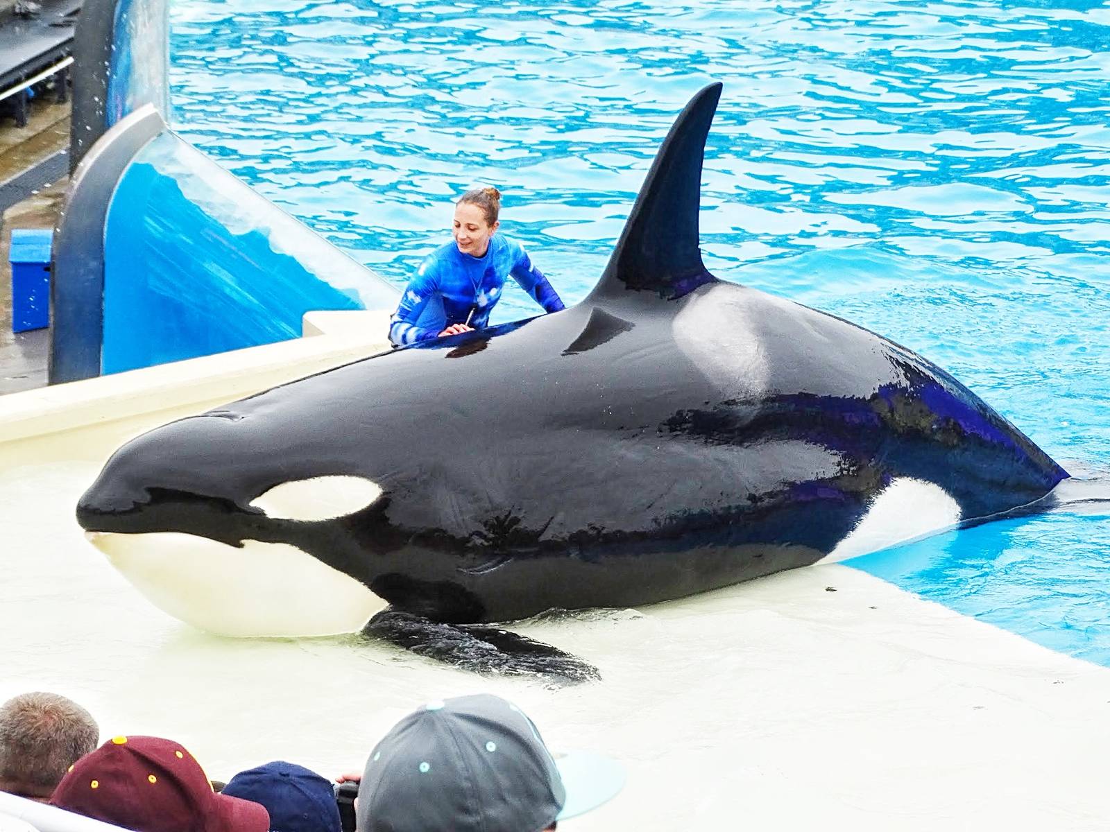 Jun. 2015 - One Ocean - Corky