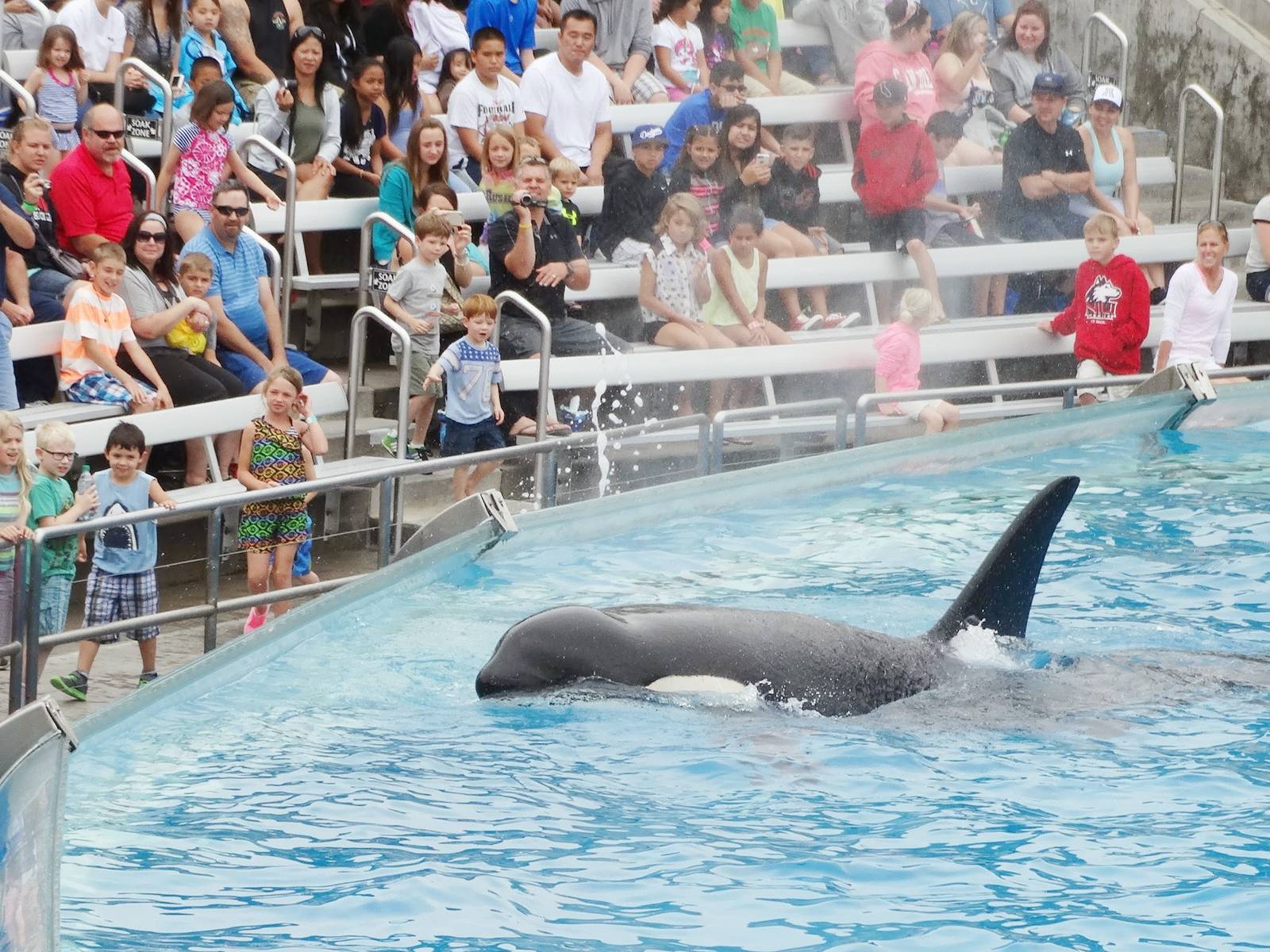 Jun. 2015 - One Ocean - Corky