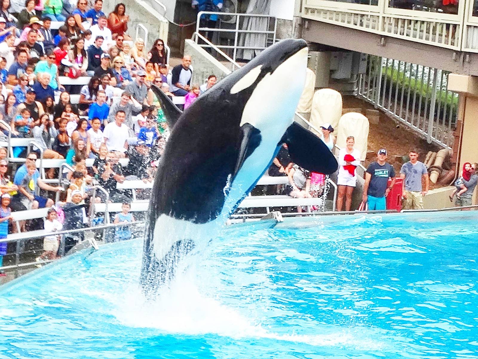 Jun. 2015 - One Ocean - Corky