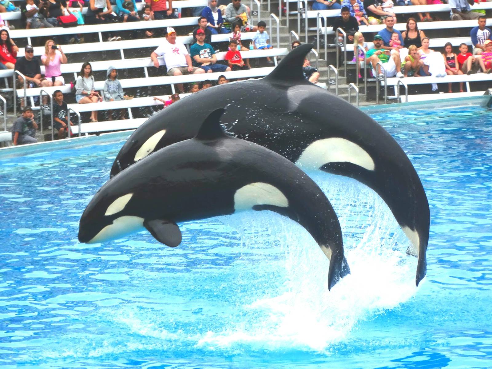 Jun. 2015 - One Ocean - Makani and Kalia