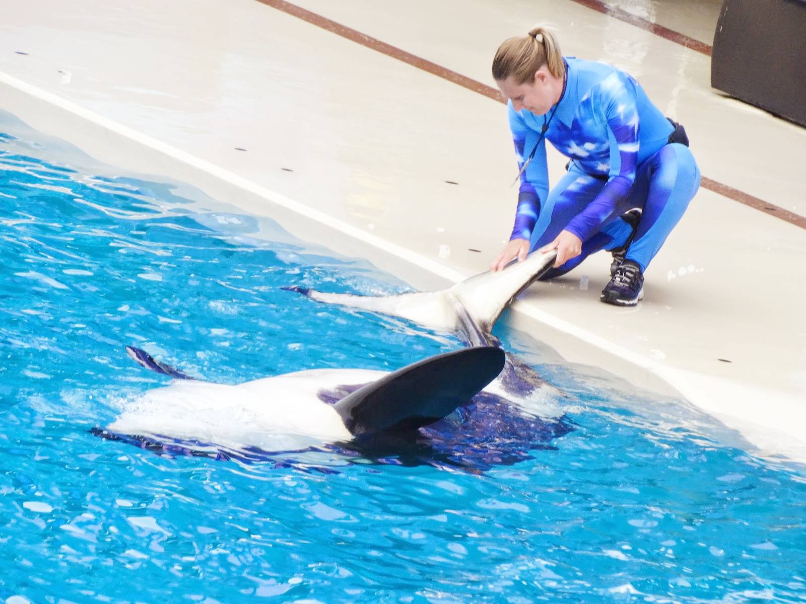 Jun. 2015 - One Ocean - Makani Rubdown