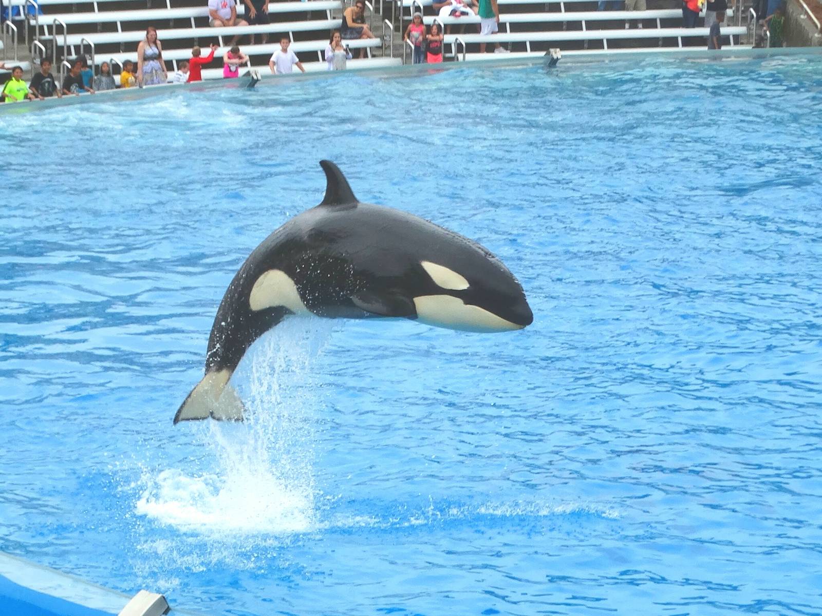 Jun. 2015 - One Ocean - Makani