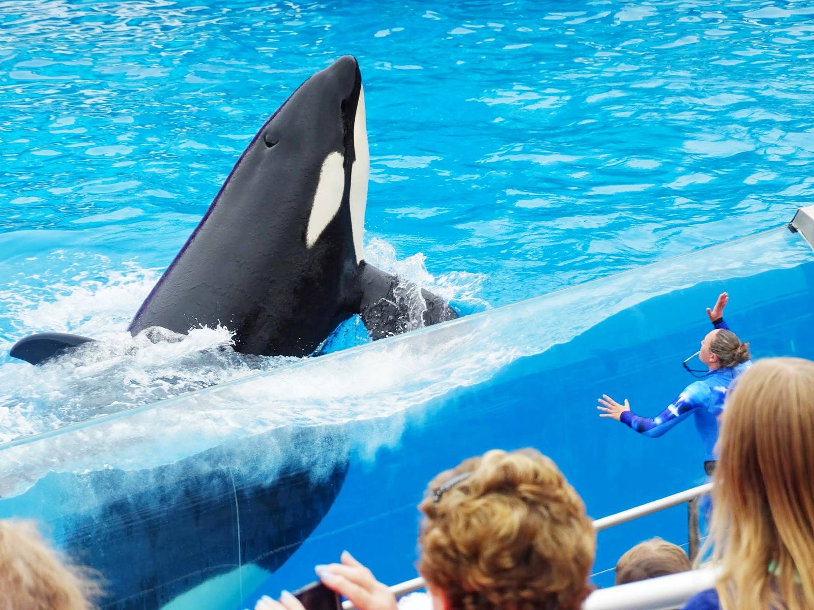 Jun. 2015 - One Ocean - Nakai