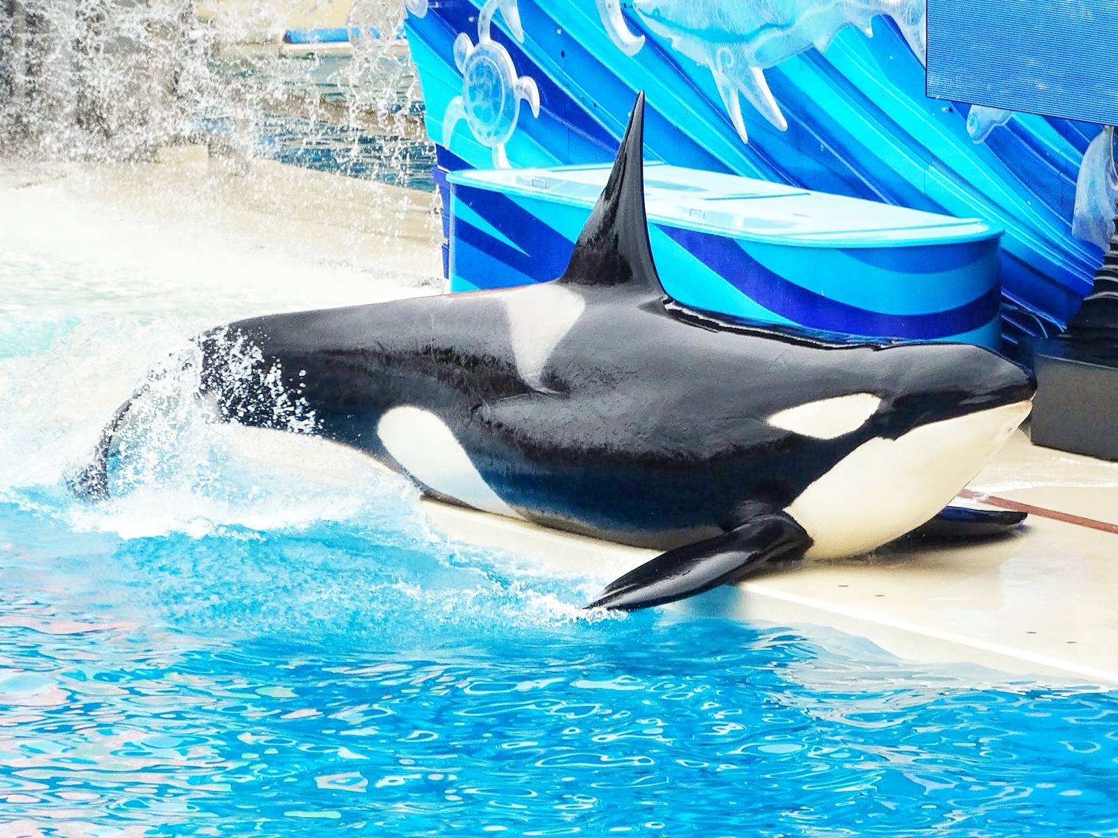 Jun. 2015 - One Ocean - Nakai