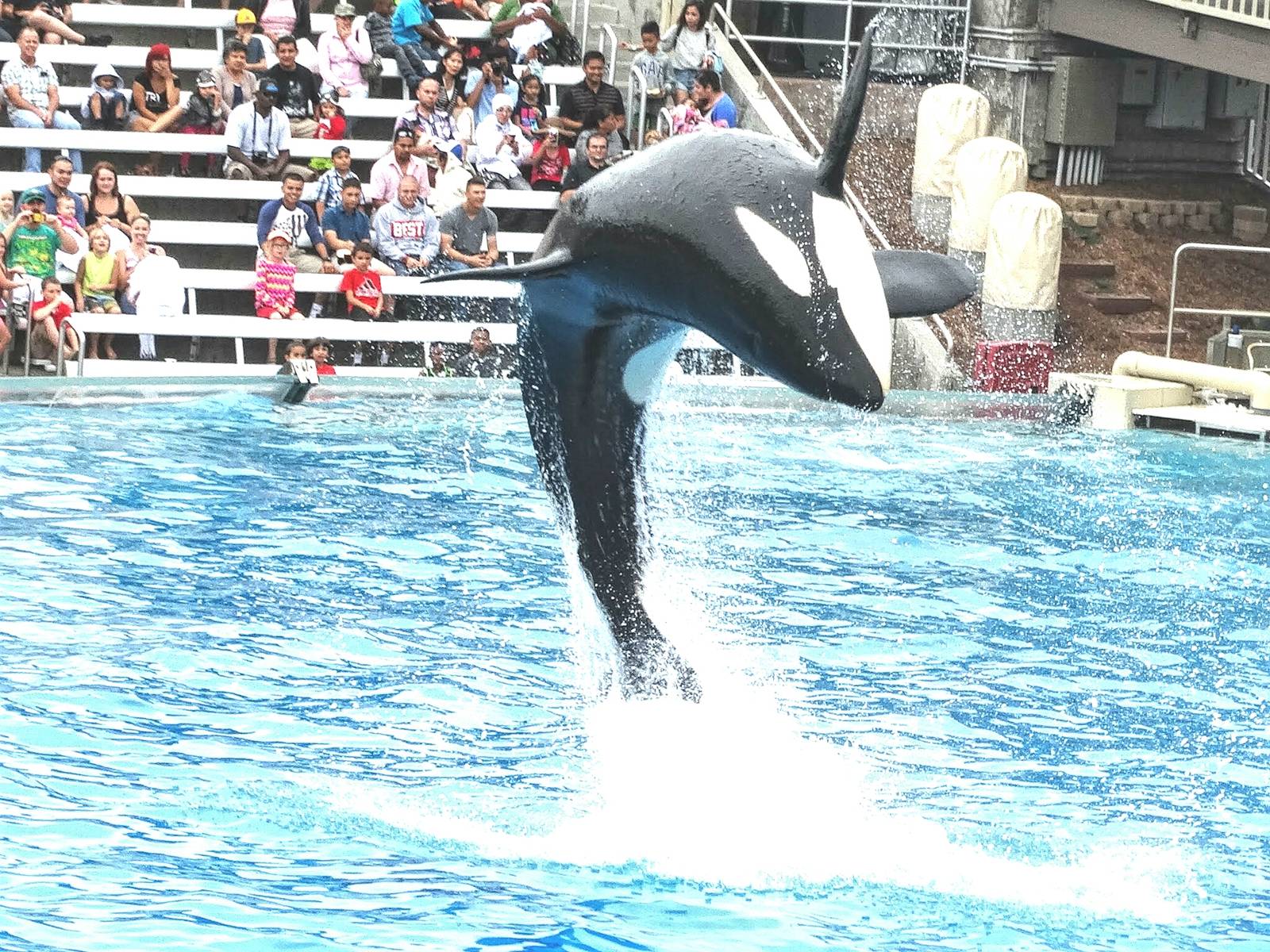 Jun. 2015 - One Ocean - Nakai