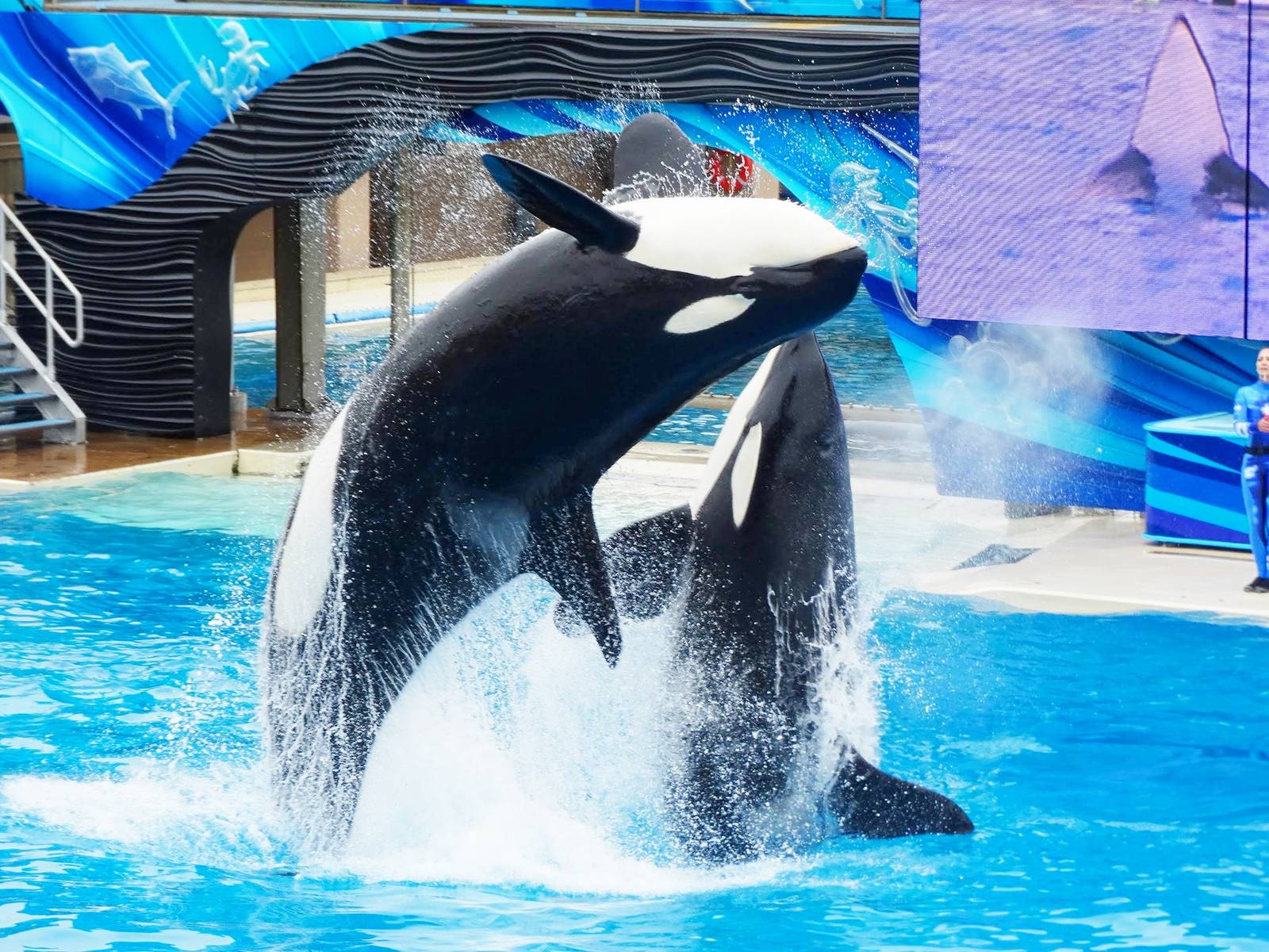 Jun. 2015 - One Ocean - Orkid and Nakai