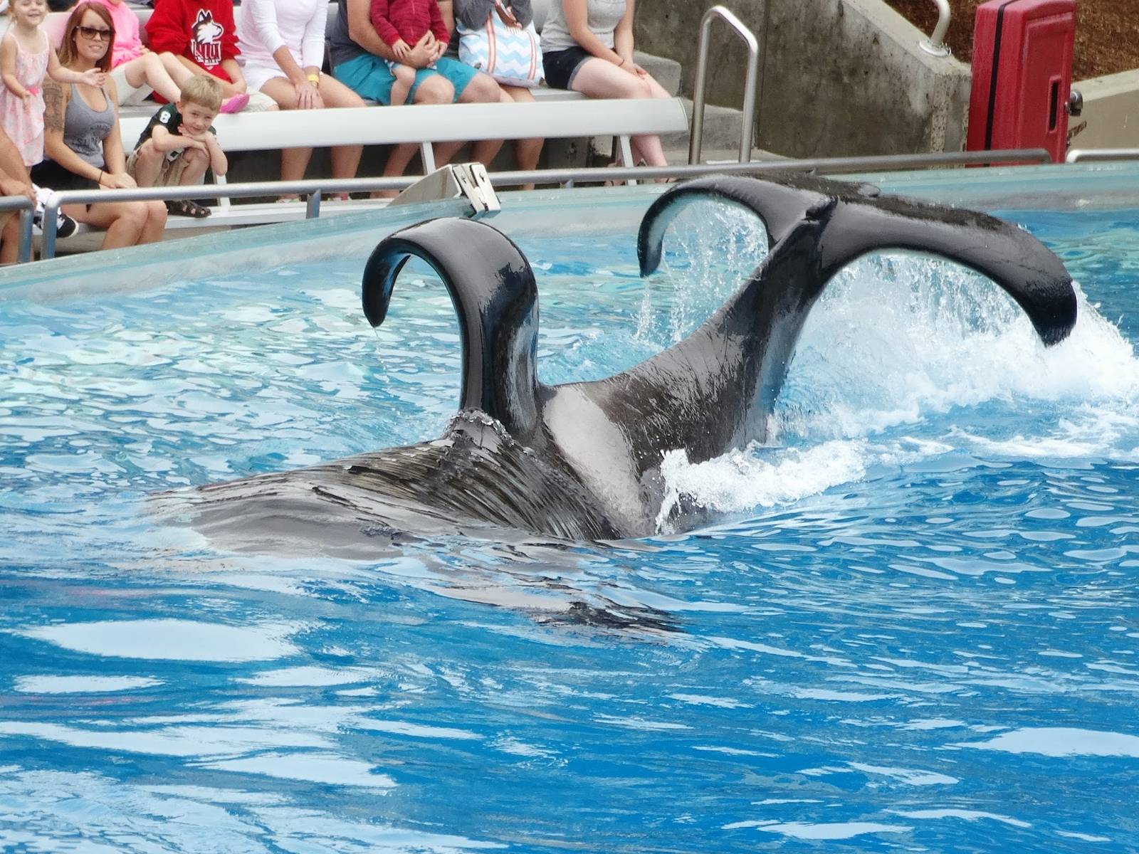 Jun. 2015 - One Ocean - Ulises