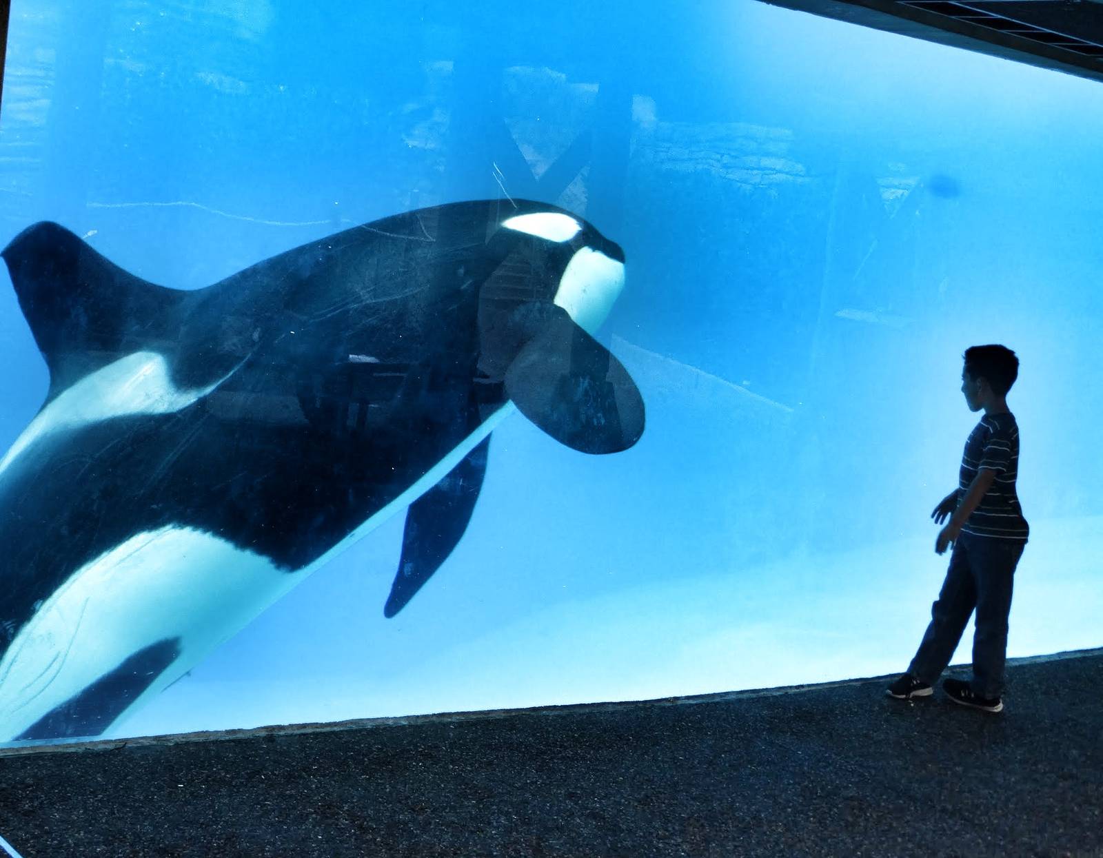 Jun. 2015 - Shouka (Most proud photo)