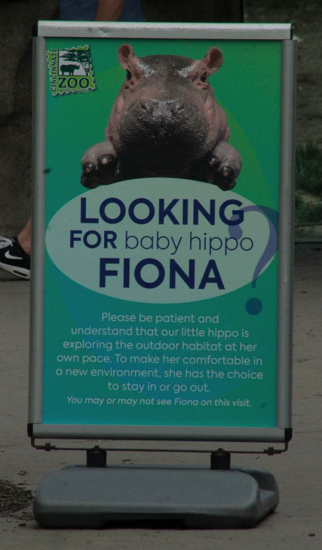 Jun. 2017 - Africa - Where's Fiona?