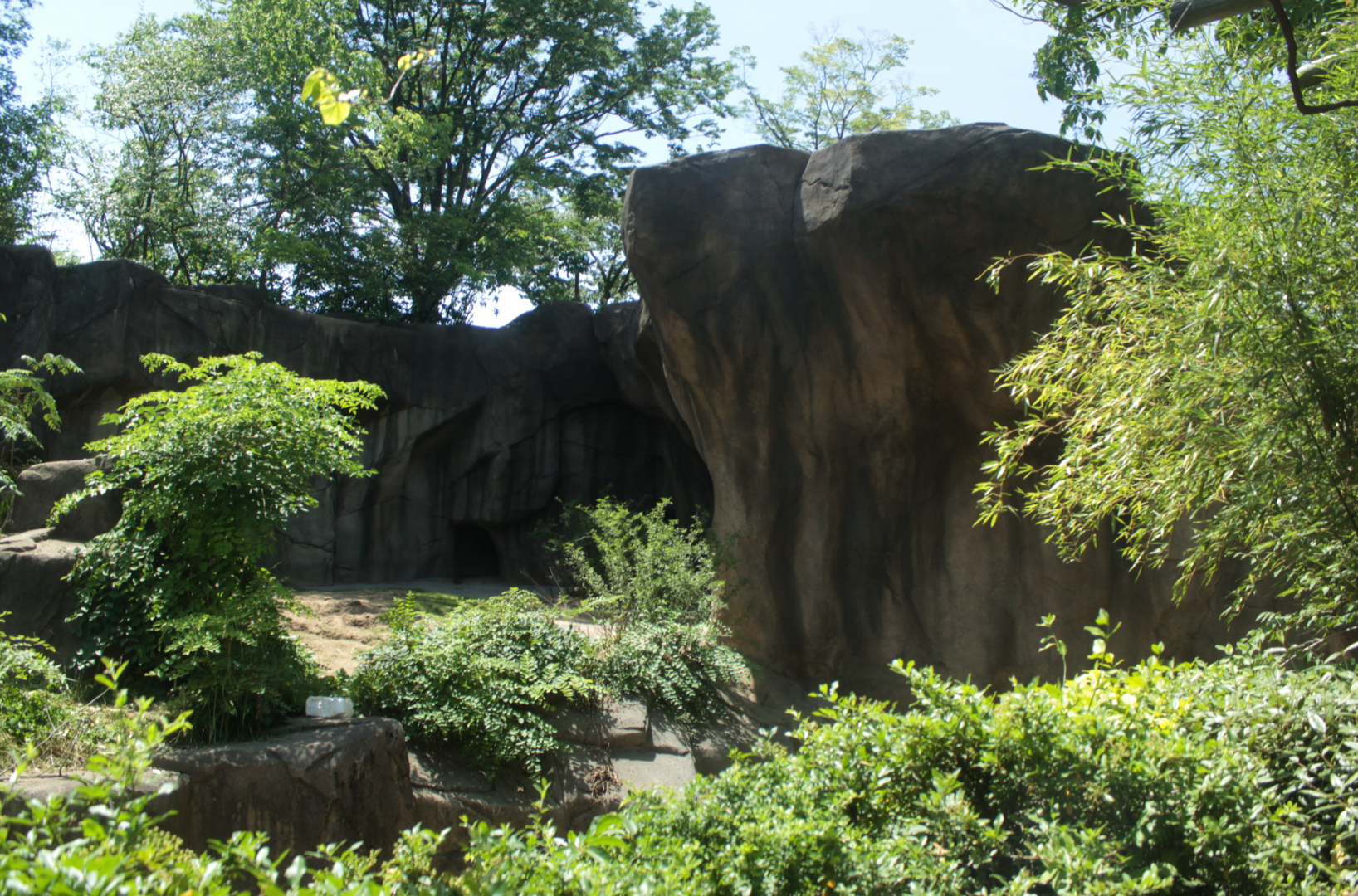 Jun. 2017 - Gorilla World Renovations - Added Rock Wall for Future Glass Viewing