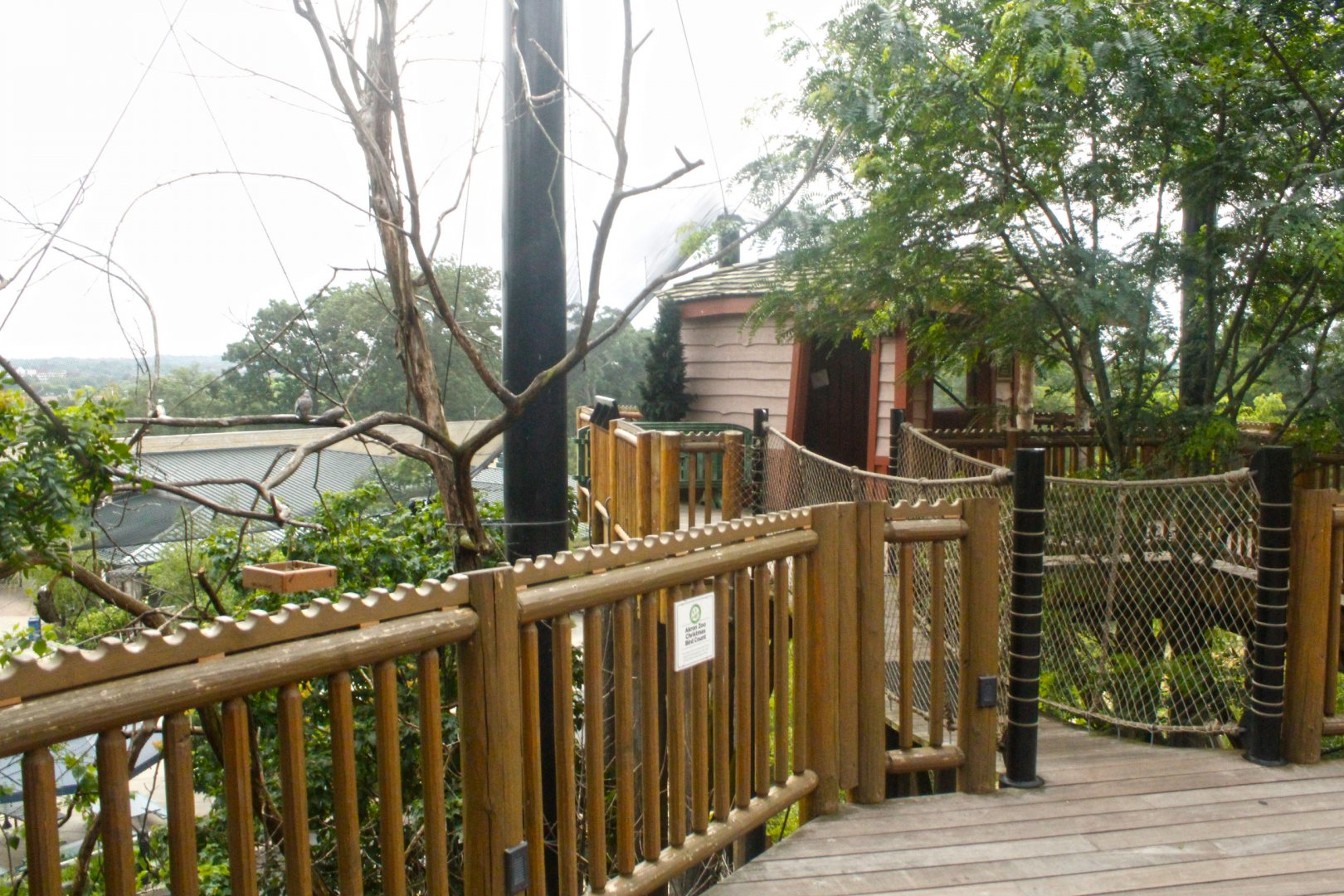 Jun. 2017 - Grizzly Ridge - Aviary Viewing Deck