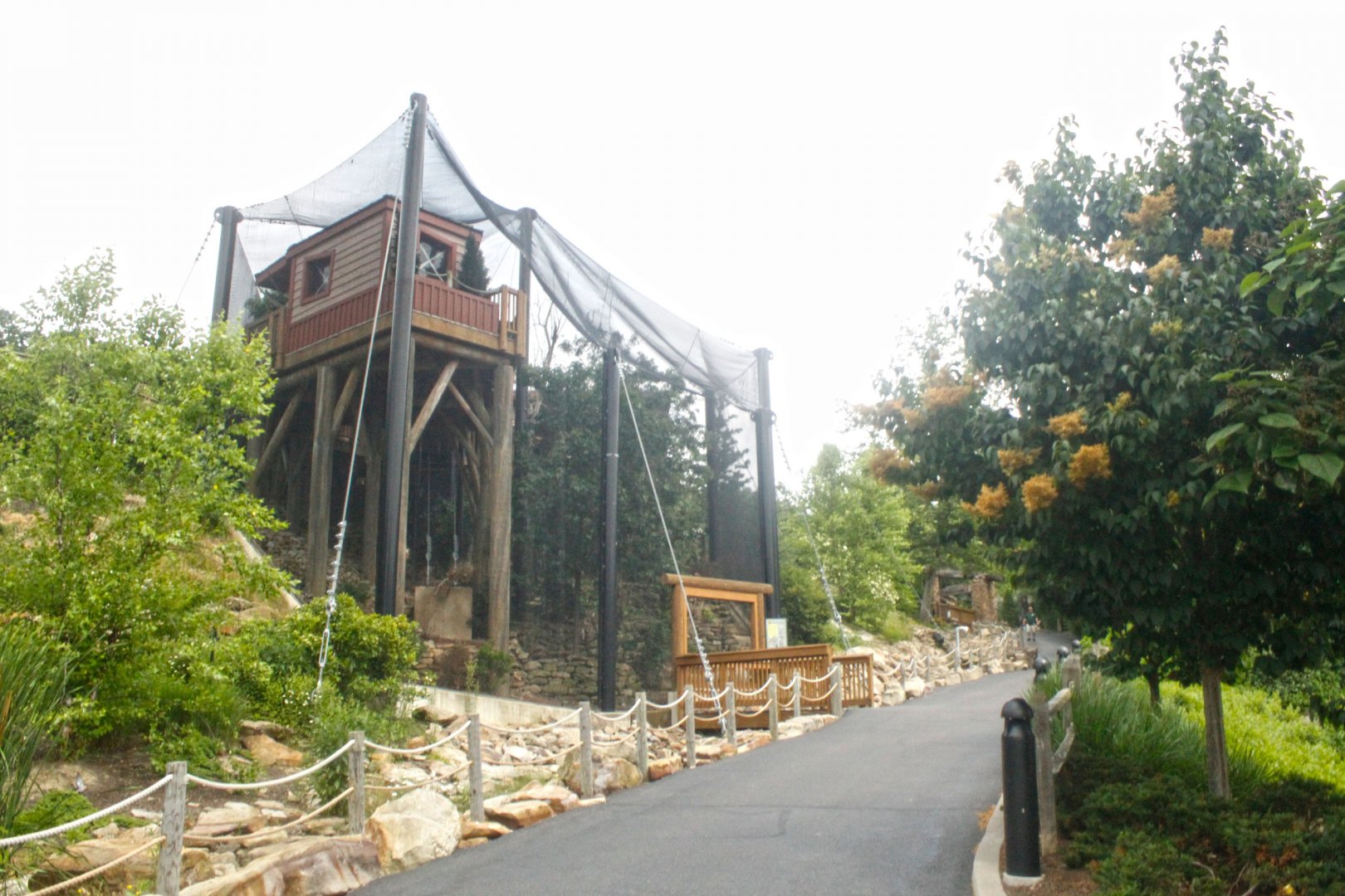 Jun. 2017 - Grizzly Ridge - Aviary