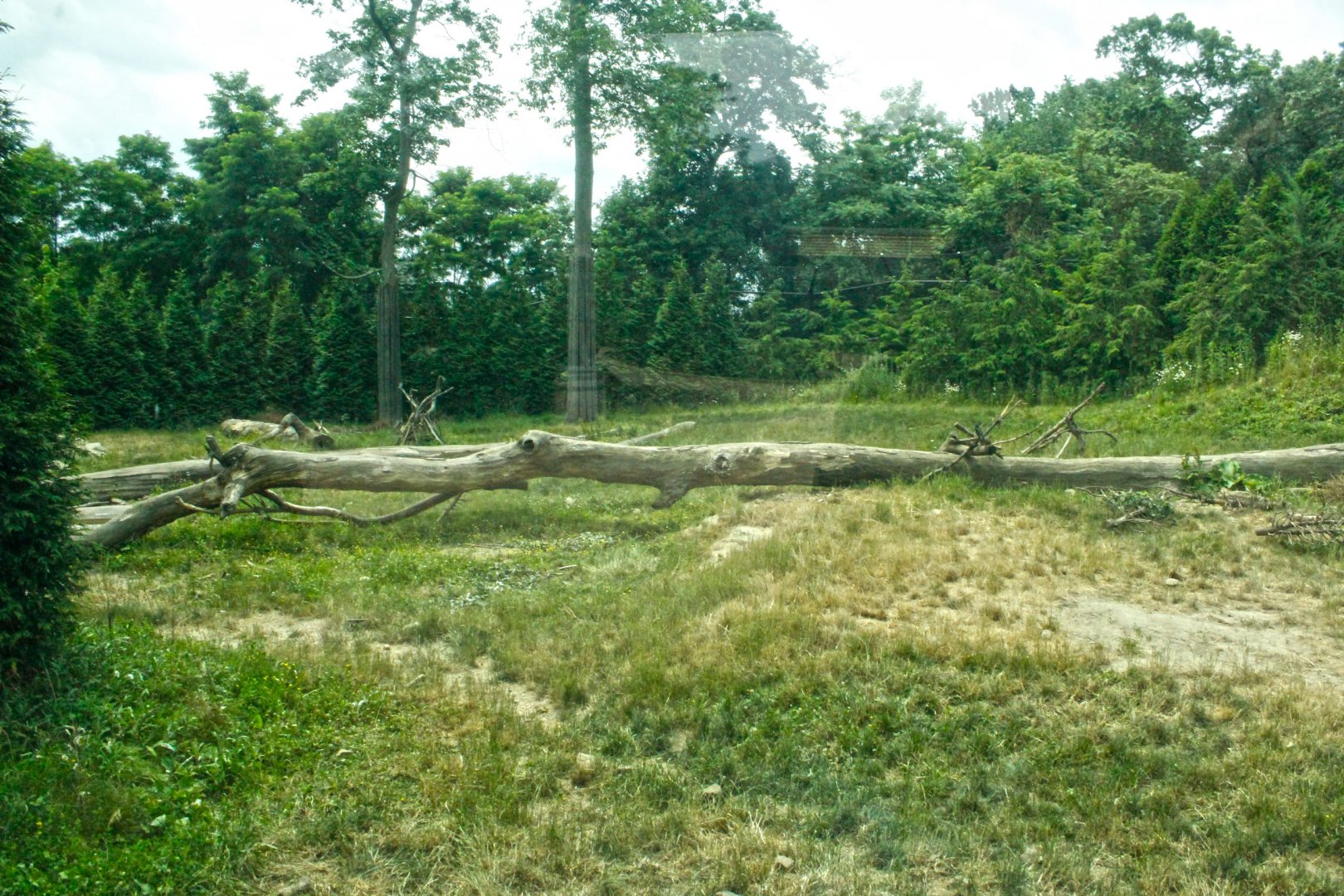 Jun. 2017 - Grizzly Ridge - Grizzly Bear Exhibit - Second View